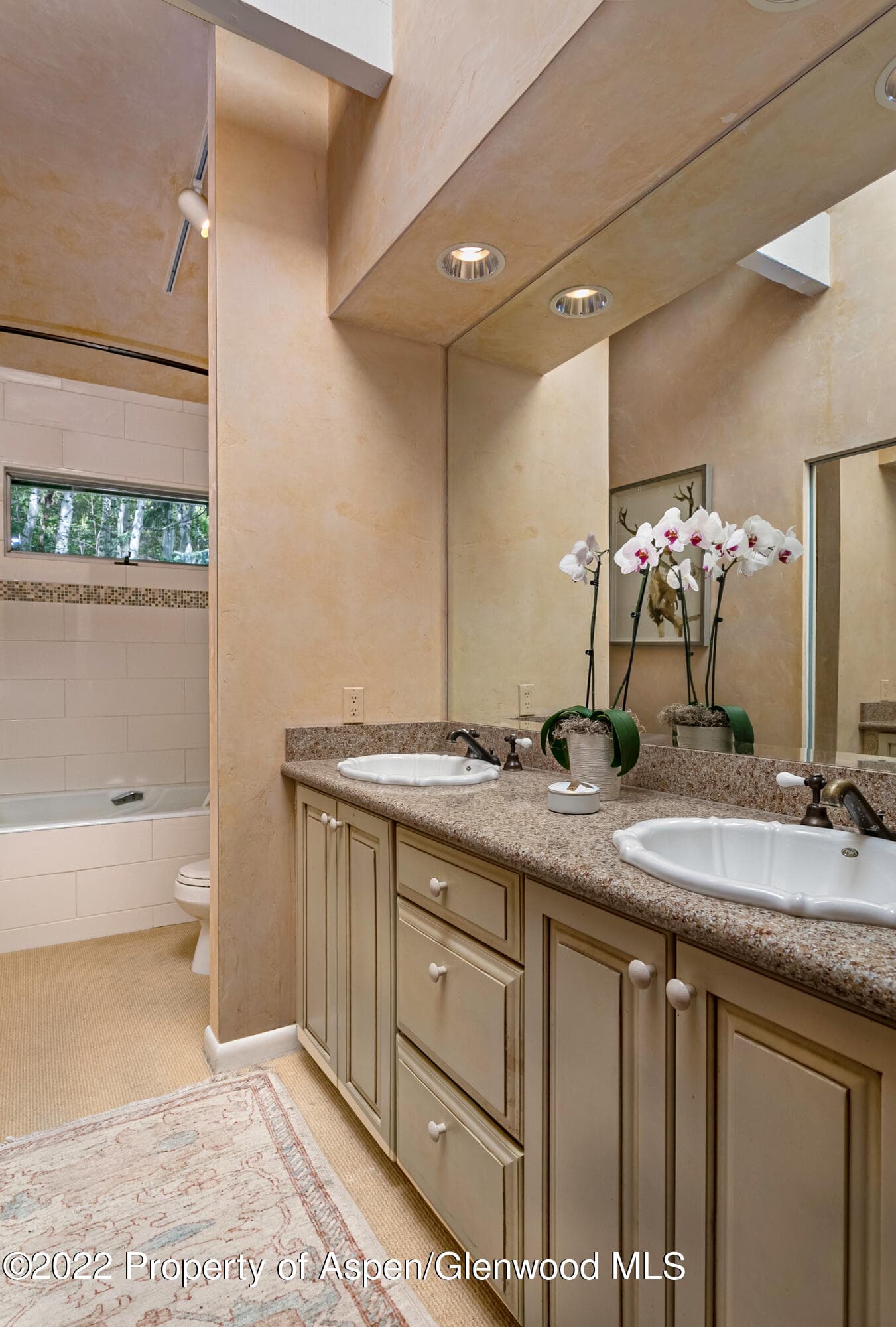 42791 Highway 82, Aspen, CO 81611 - Photo 9