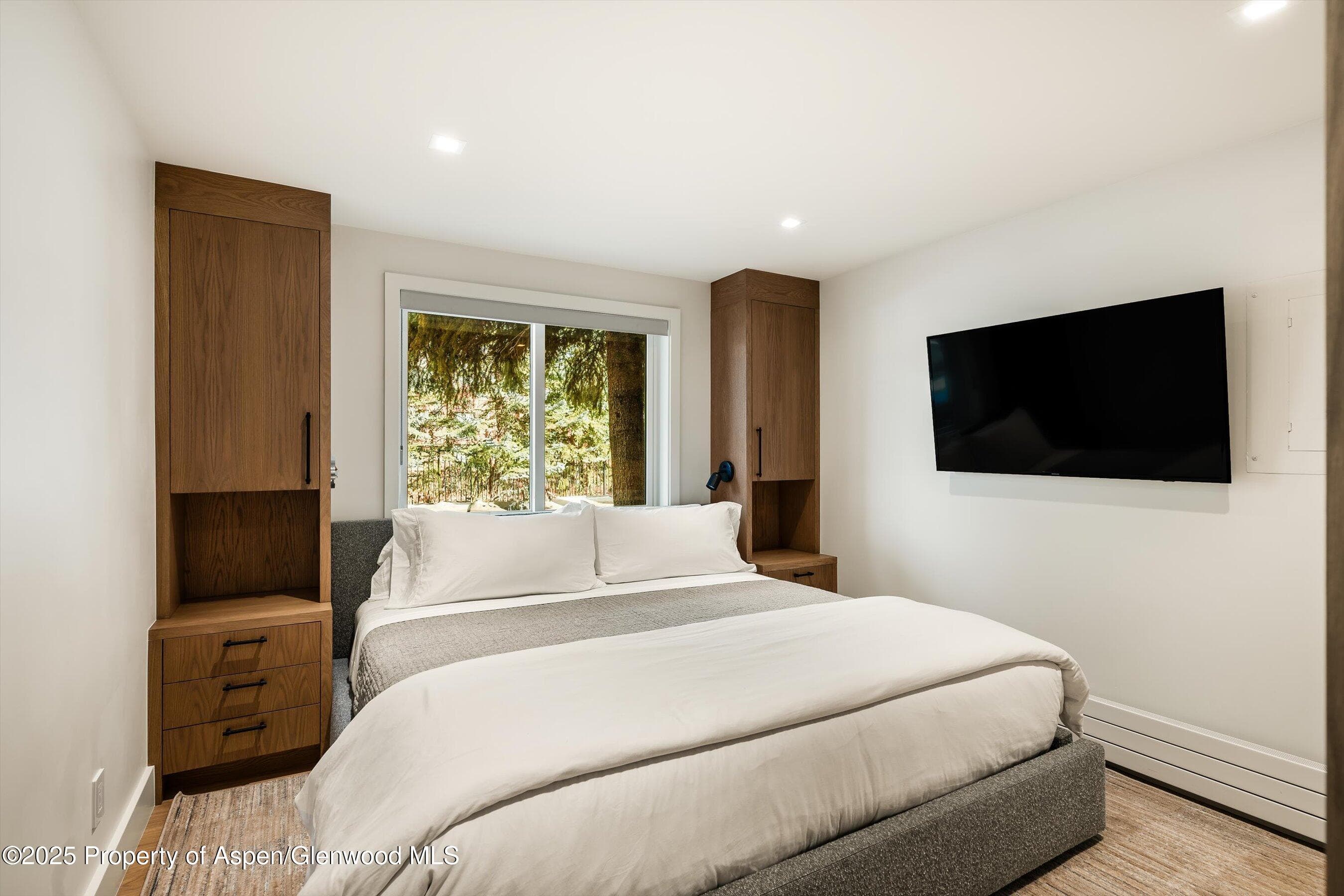 650 S Monarch Street 2, Aspen, CO 81611 - Photo 9