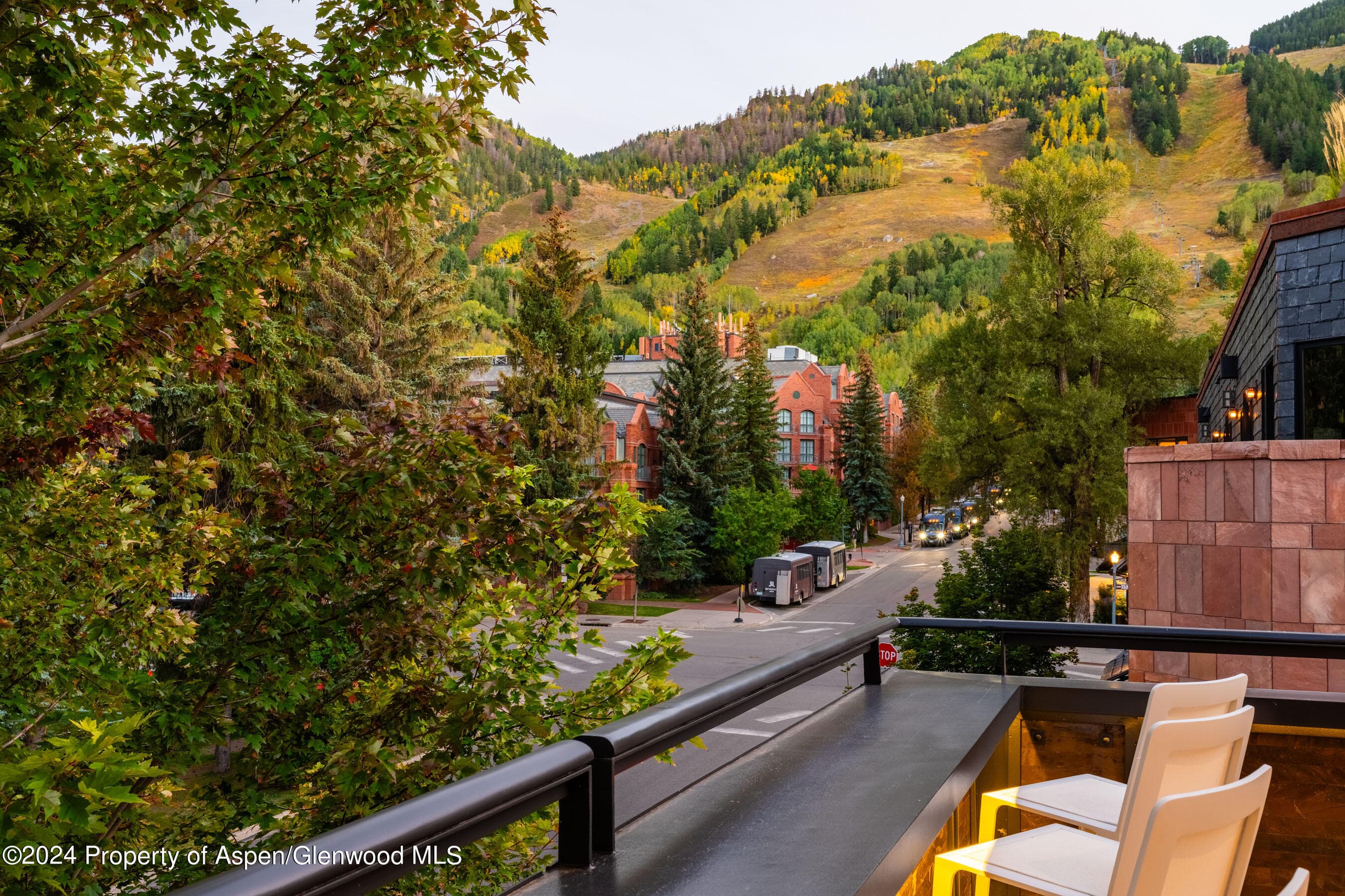 405 S Monarch P-2, Aspen, CO 81611 - Photo 31