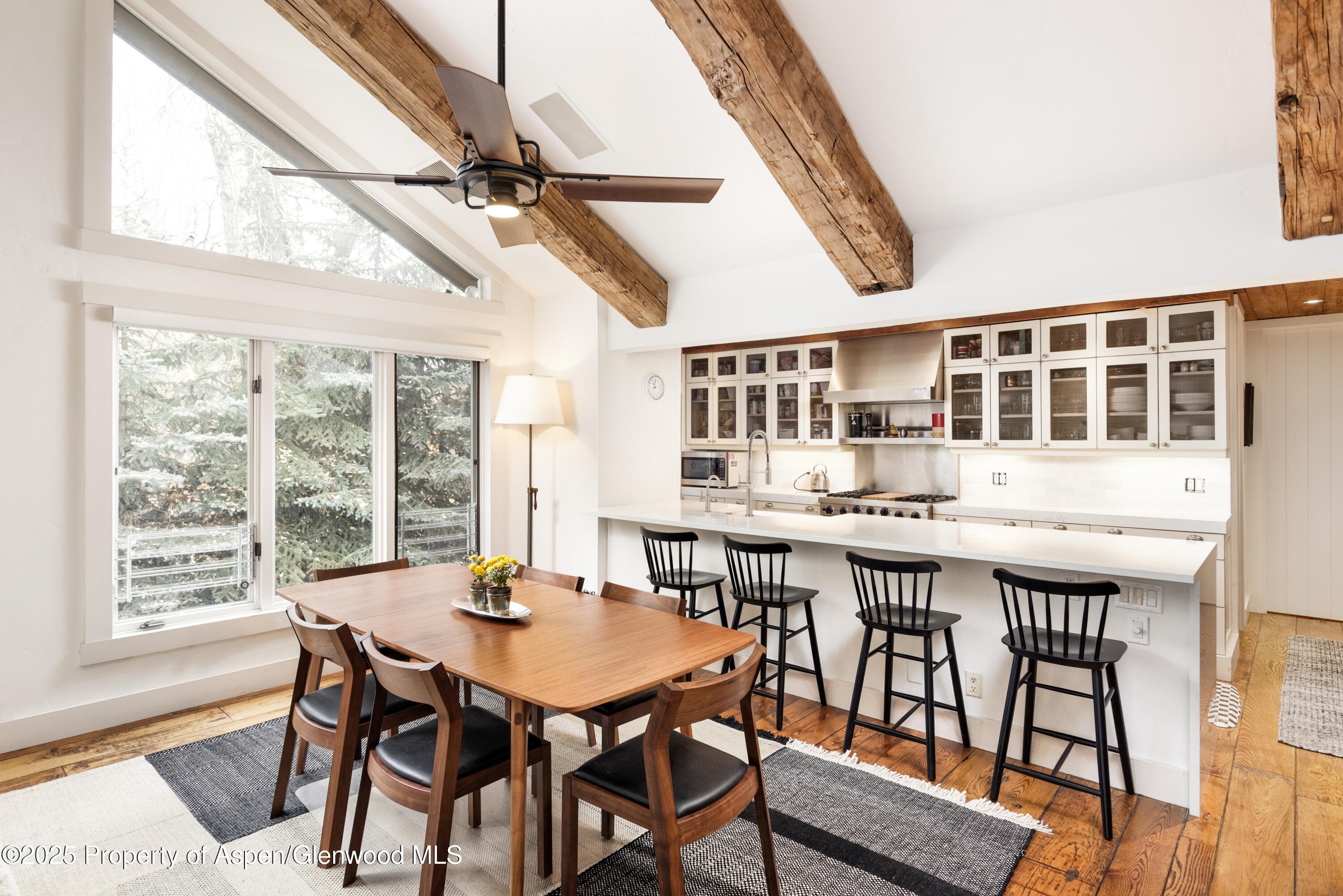 901 W FRANCIS Street, Aspen, CO 81611 - Photo 4
