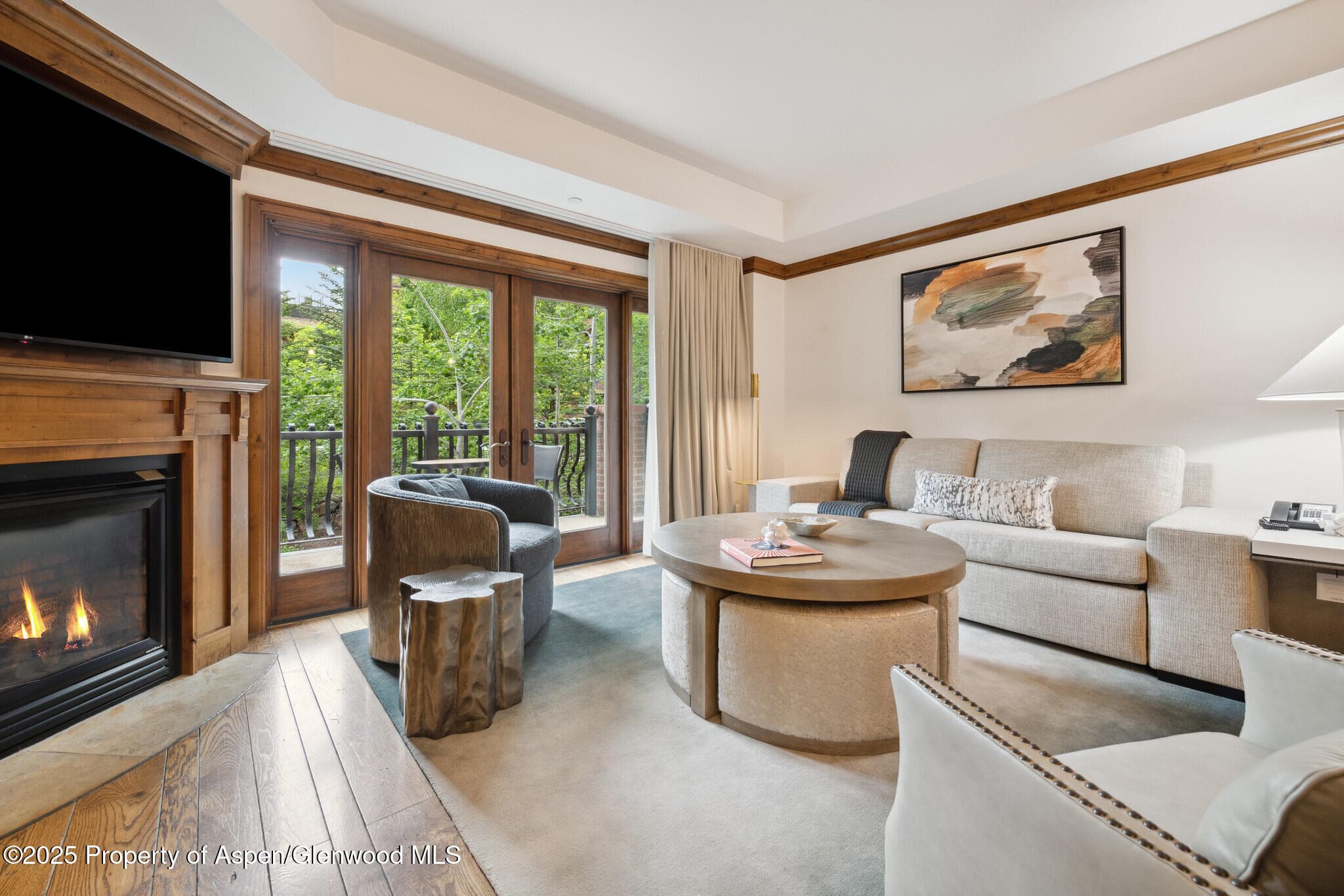 415 E Dean St, Unit 21, Week 10, Aspen, CO 81611 - Photo 5