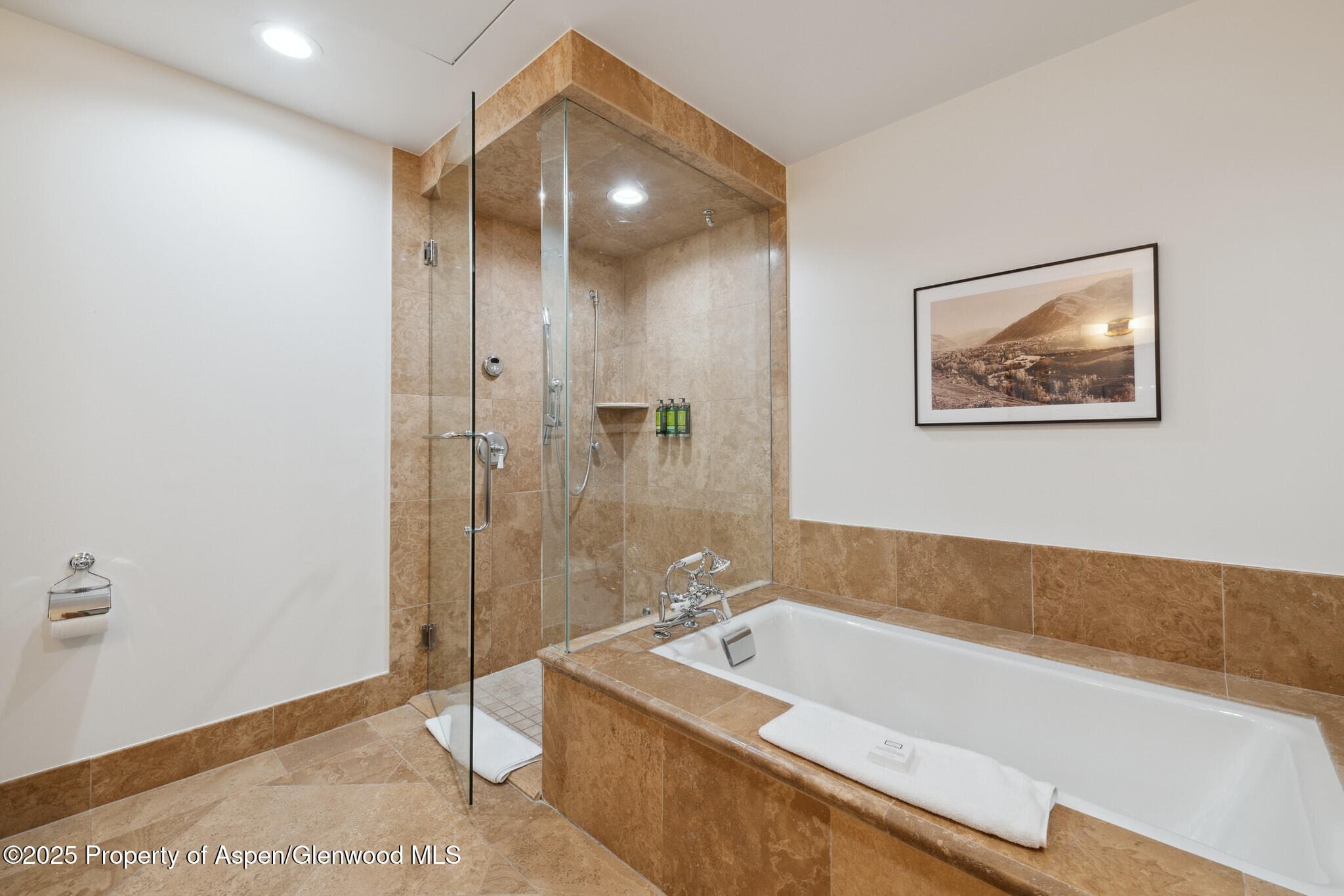 415 E Dean St, Unit 21, Week 10, Aspen, CO 81611 - Photo 19