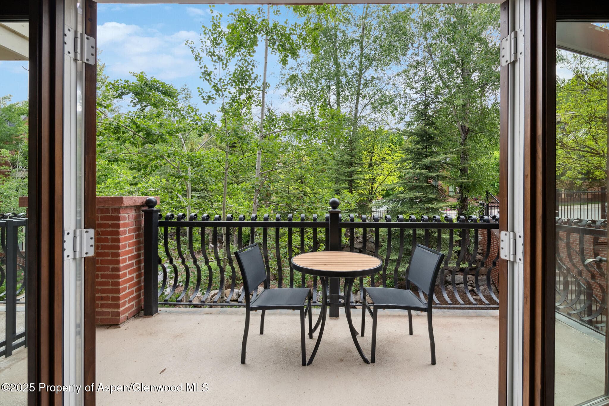 415 E Dean St, Unit 21, Week 10, Aspen, CO 81611 - Photo 25