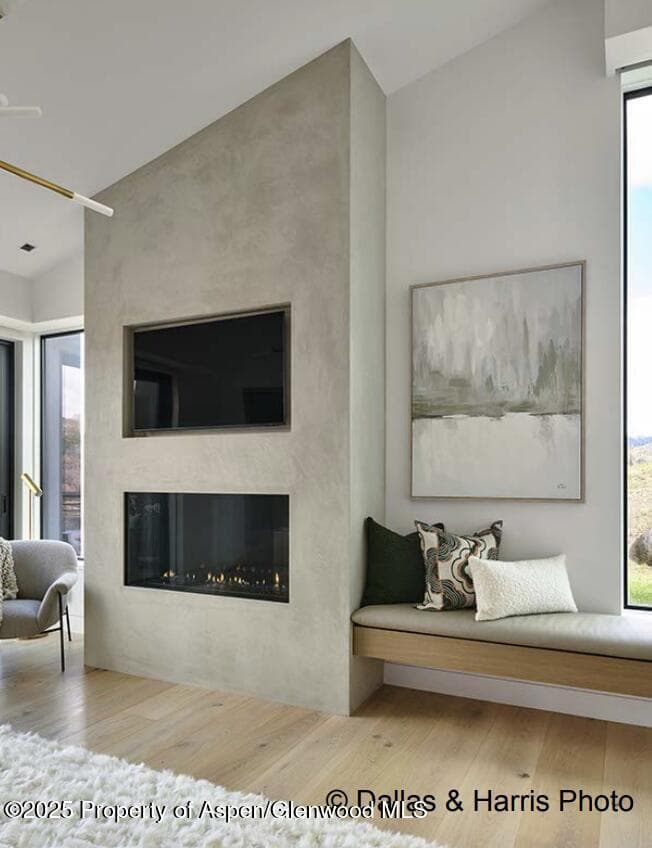 2196 Lazy O Road, Snowmass, CO 81654 - Photo 22