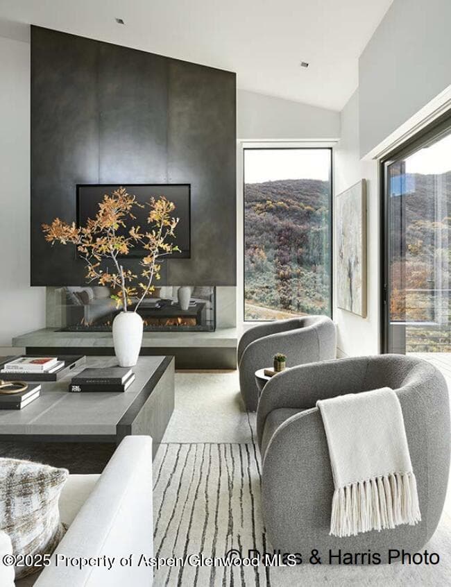 2196 Lazy O Road, Snowmass, CO 81654 - Photo 16