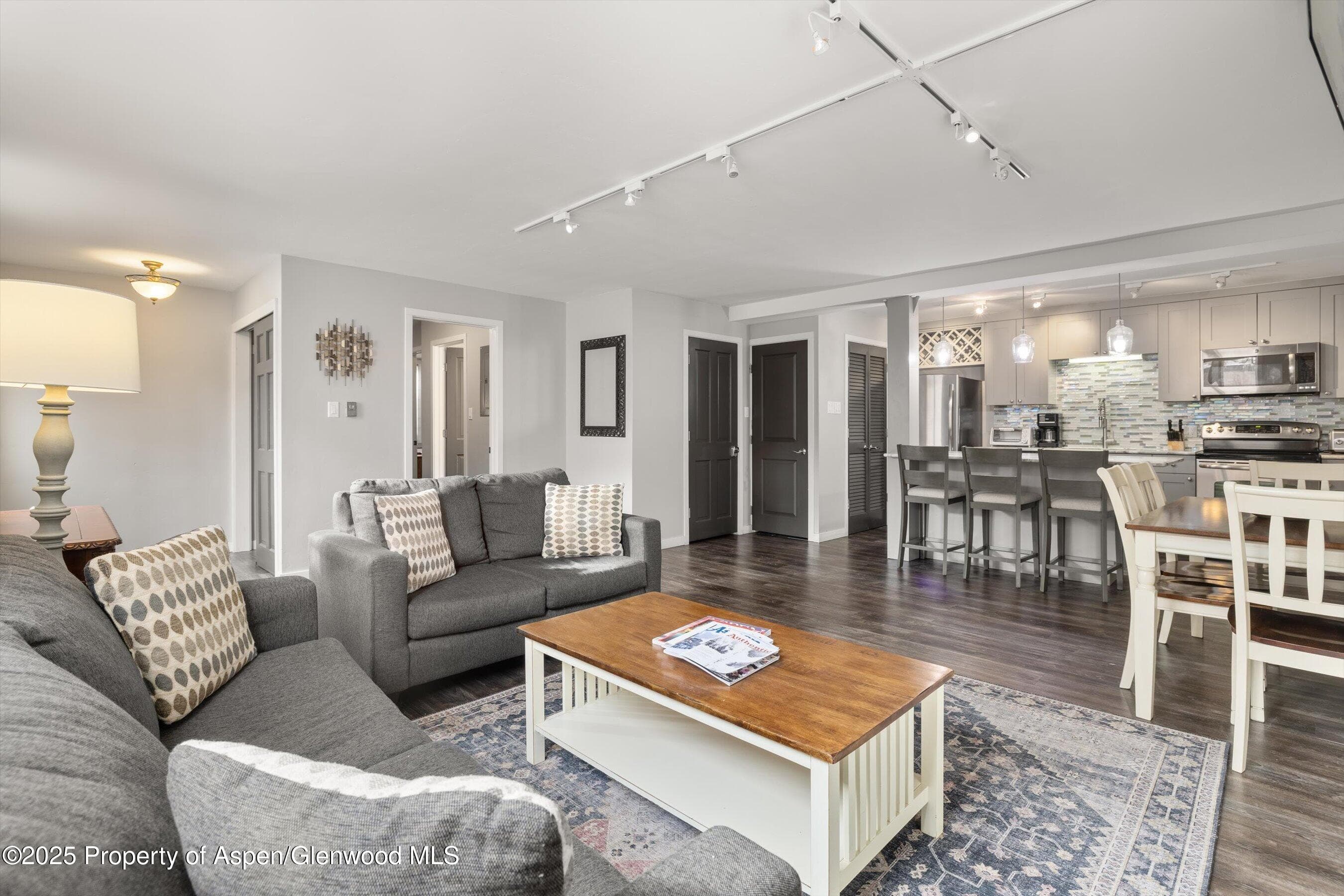731 E DURANT Avenue 22, Aspen, CO 81611 - Photo 3