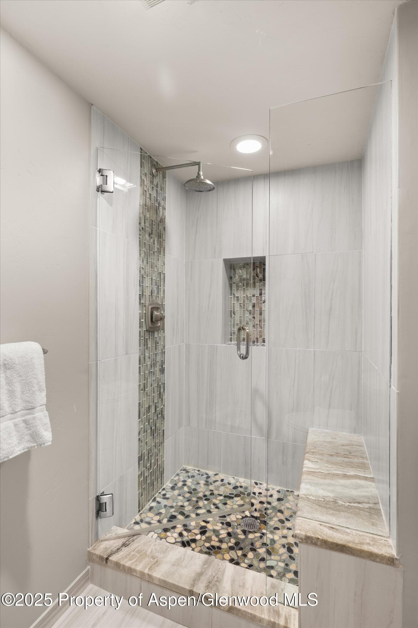 731 E DURANT Avenue 22, Aspen, CO 81611 - Photo 12