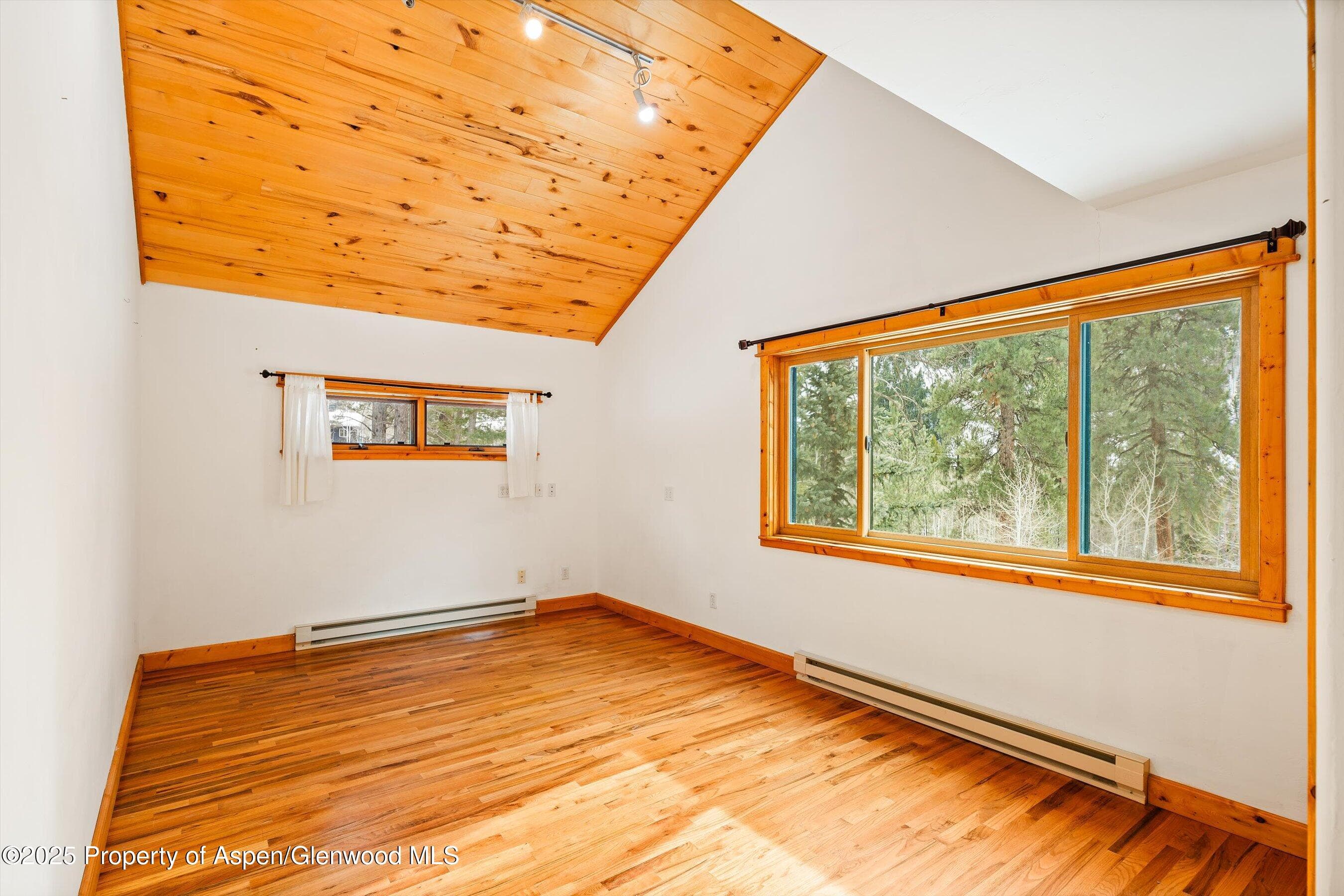 711 W Park Street, Marble, CO 81623 - Photo 19