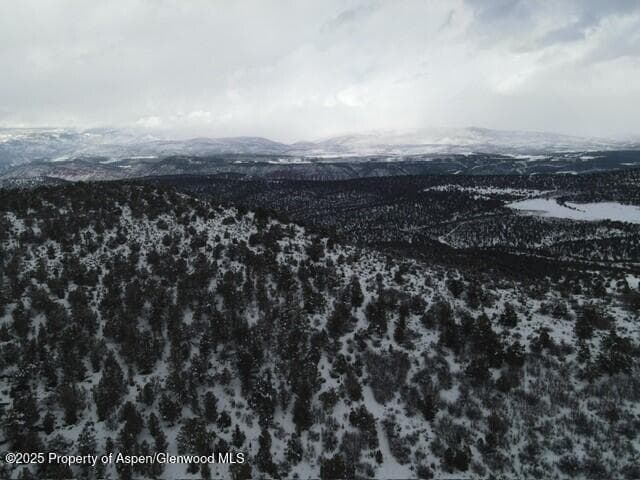 TBD 117 County Road, Glenwood Springs, CO 81601 - Photo 13