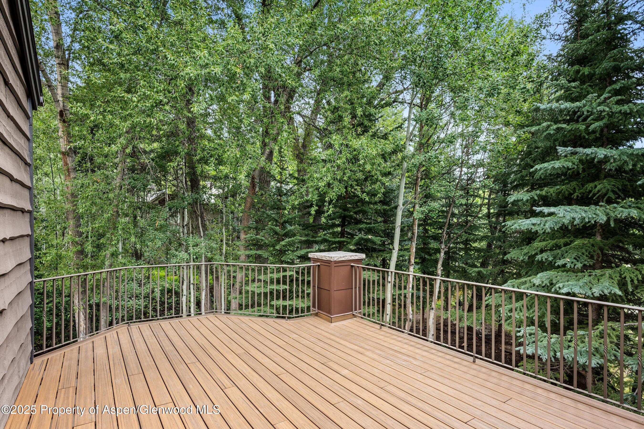 440 Alpine Court, Aspen, CO 81611 - Photo 21