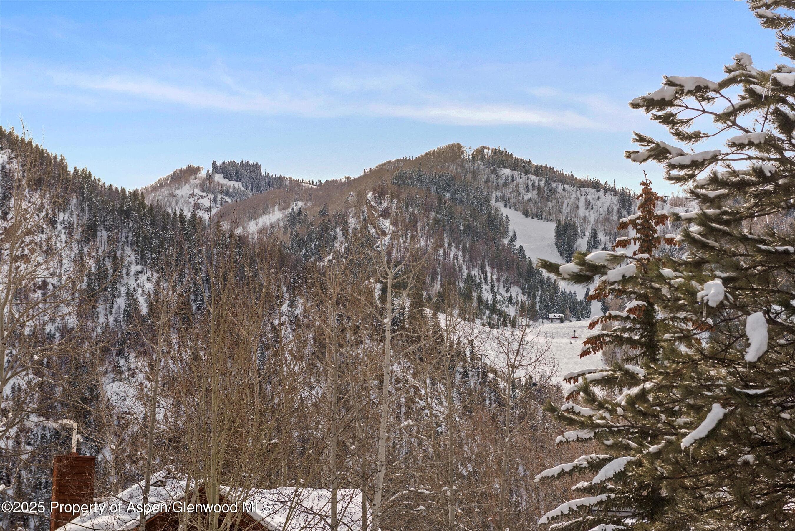 1016 E HOPKINS Avenue, Aspen, CO 81611 - Photo 70