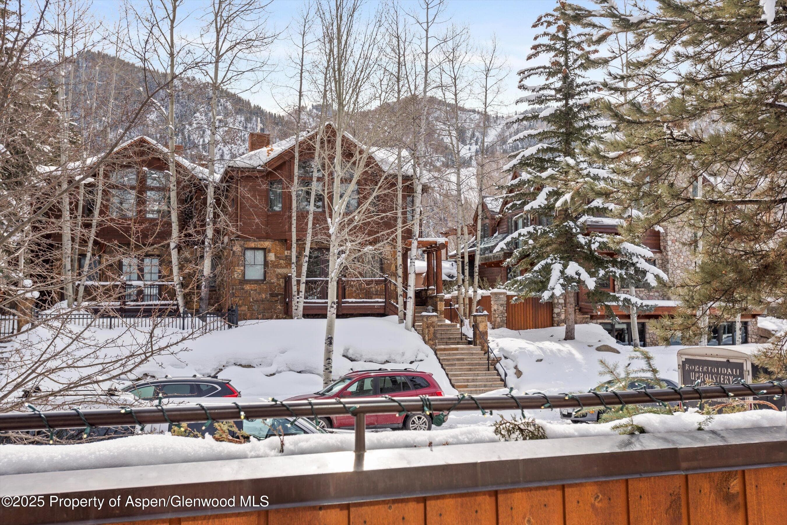 1016 E HOPKINS Avenue, Aspen, CO 81611 - Photo 72