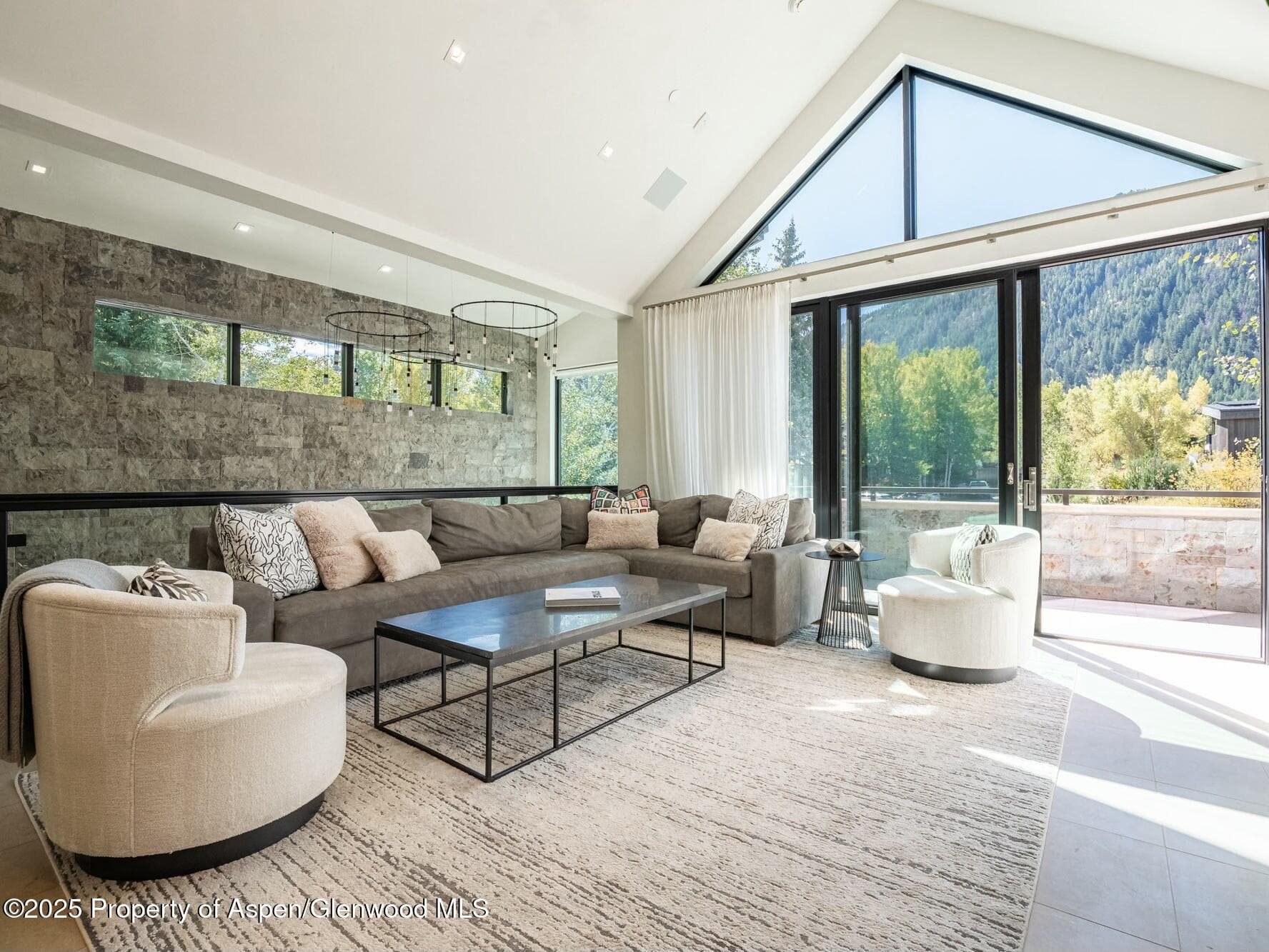 1154 E Cooper Avenue, Aspen, CO 81611 - Photo 3