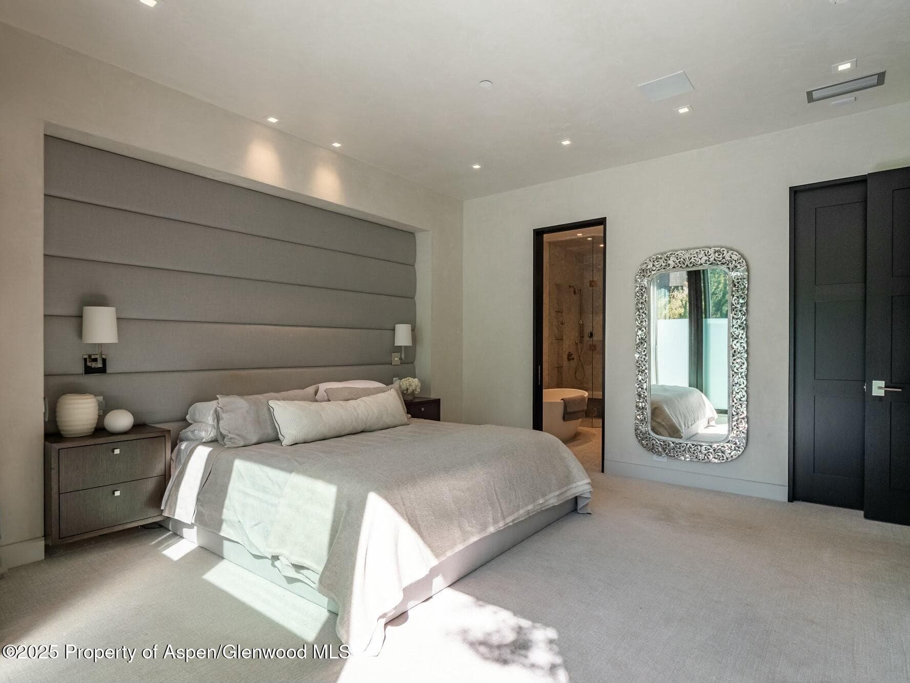 1154 E Cooper Avenue, Aspen, CO 81611 - Photo 13
