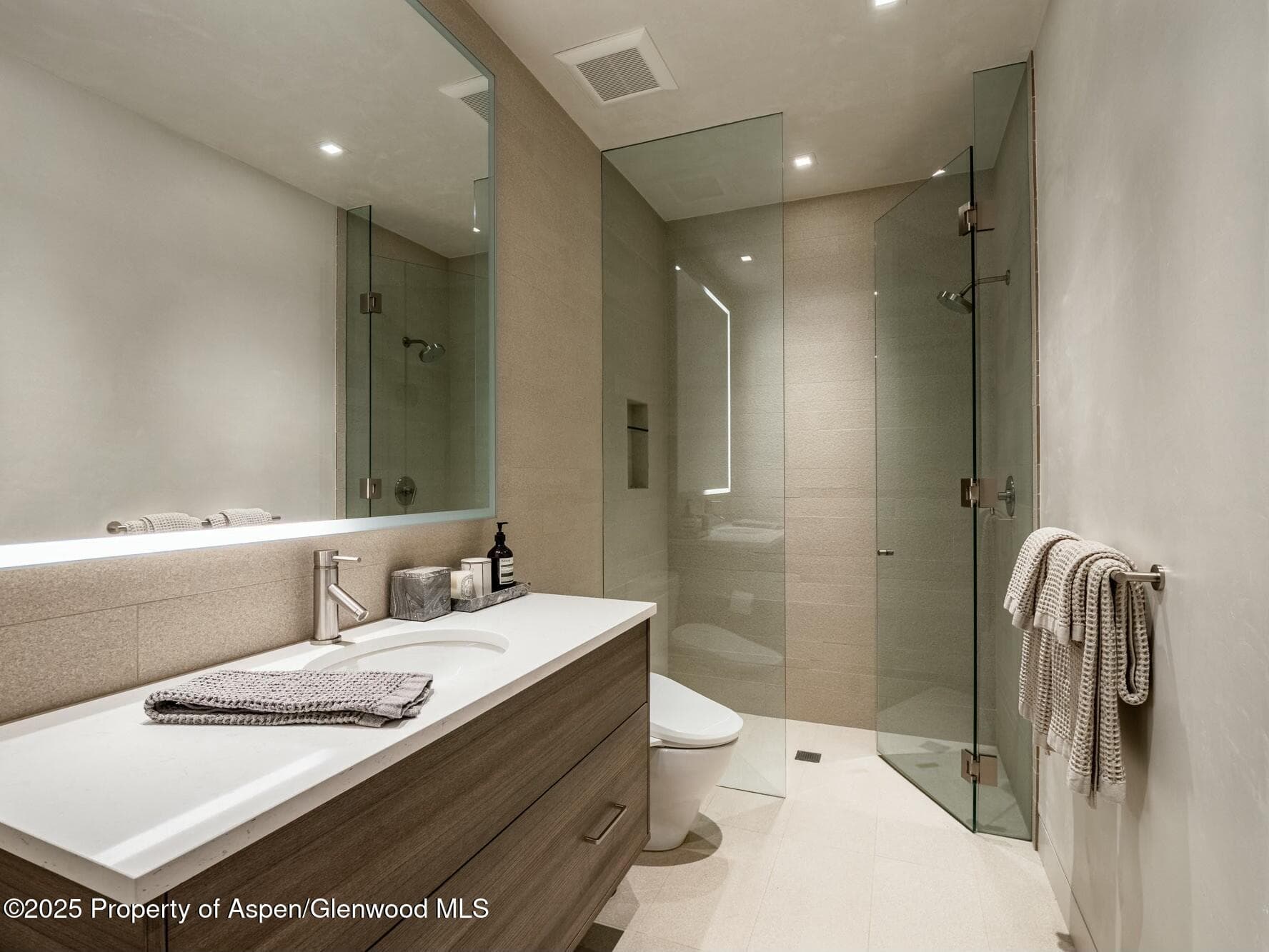 1154 E Cooper Avenue, Aspen, CO 81611 - Photo 21