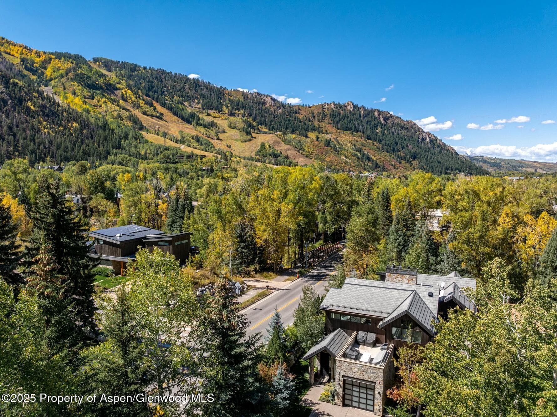 1154 E Cooper Avenue, Aspen, CO 81611 - Photo 29