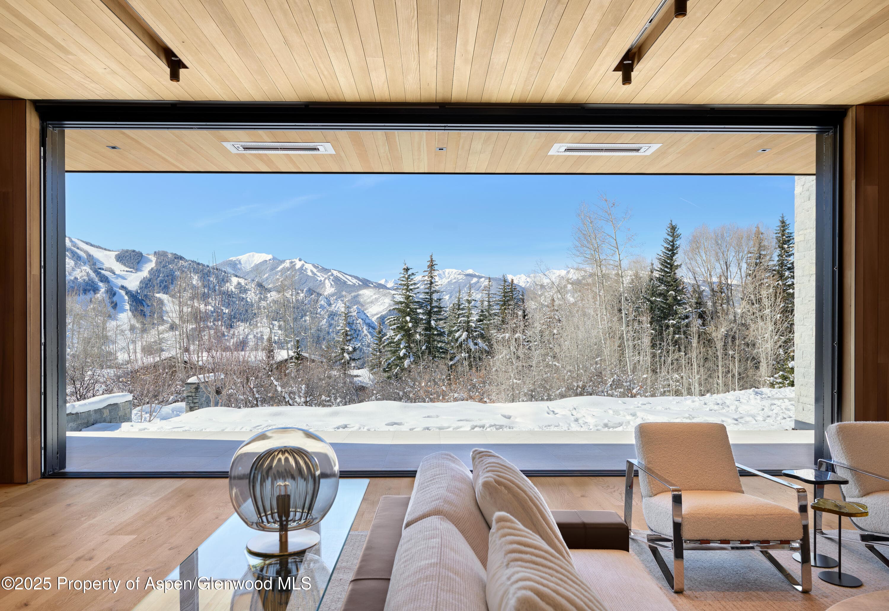 395 E Reds Road, Aspen, CO 81611 - Photo 7