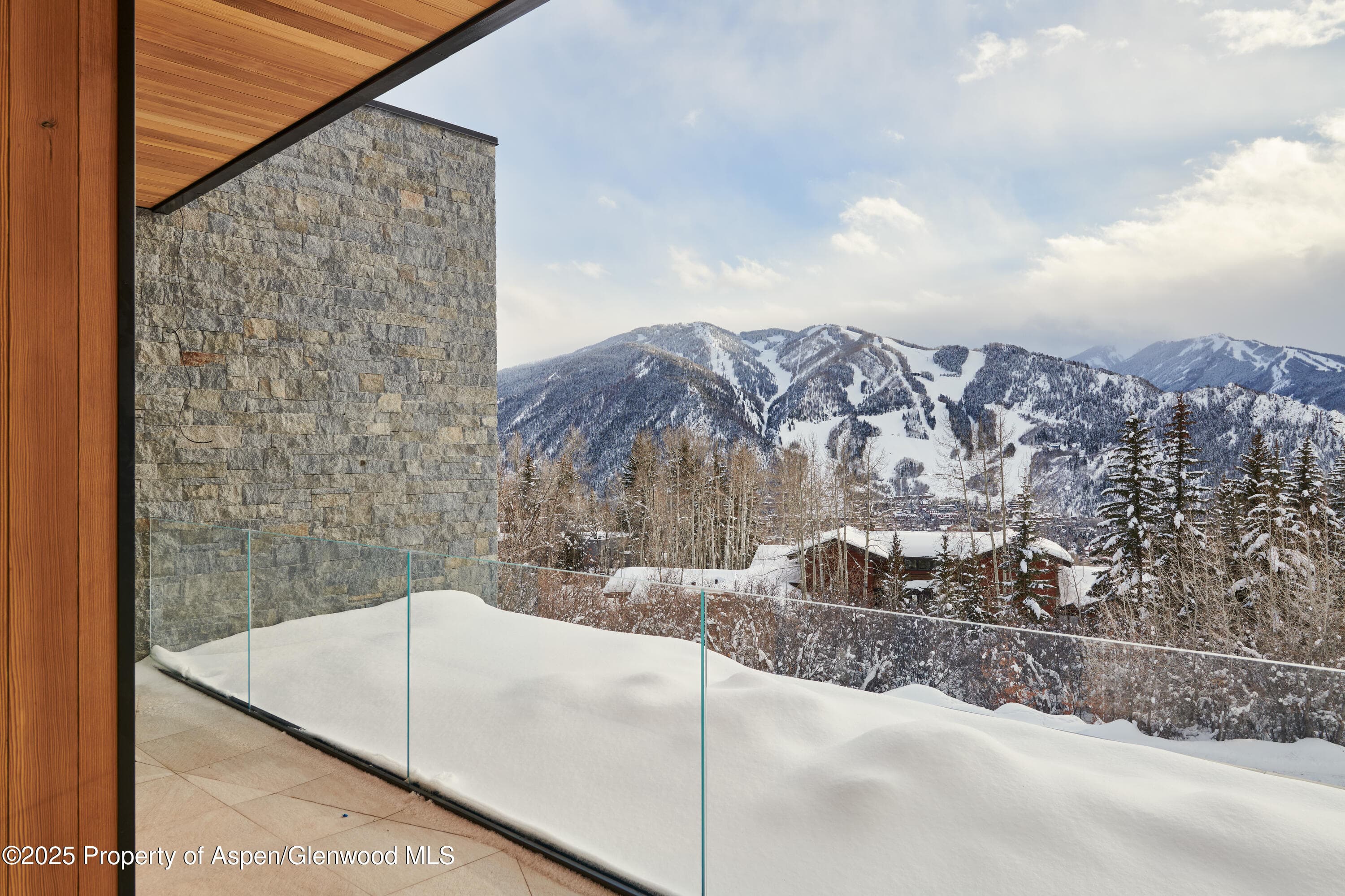 395 E Reds Road, Aspen, CO 81611 - Photo 22