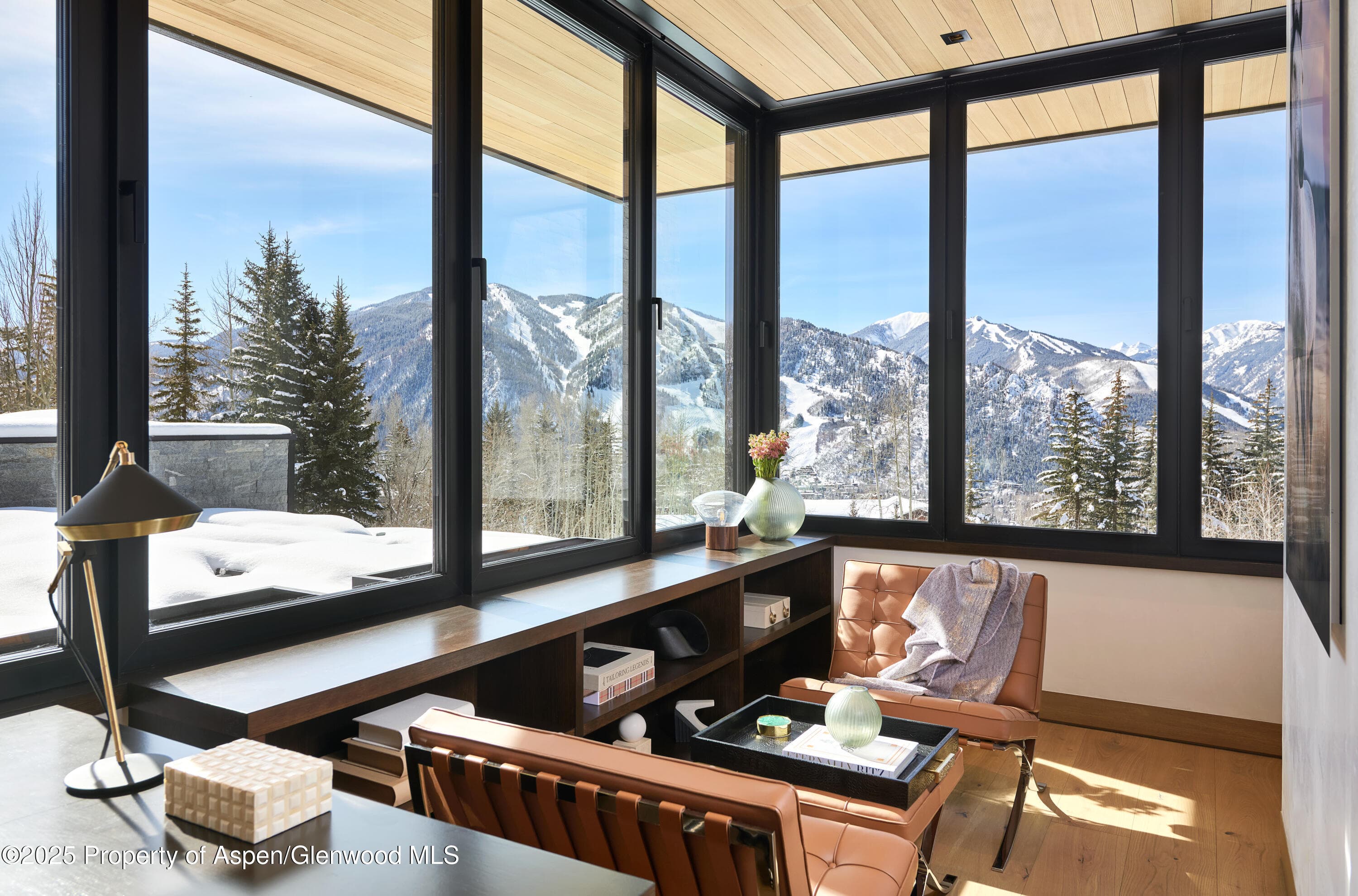 395 E Reds Road, Aspen, CO 81611 - Photo 28