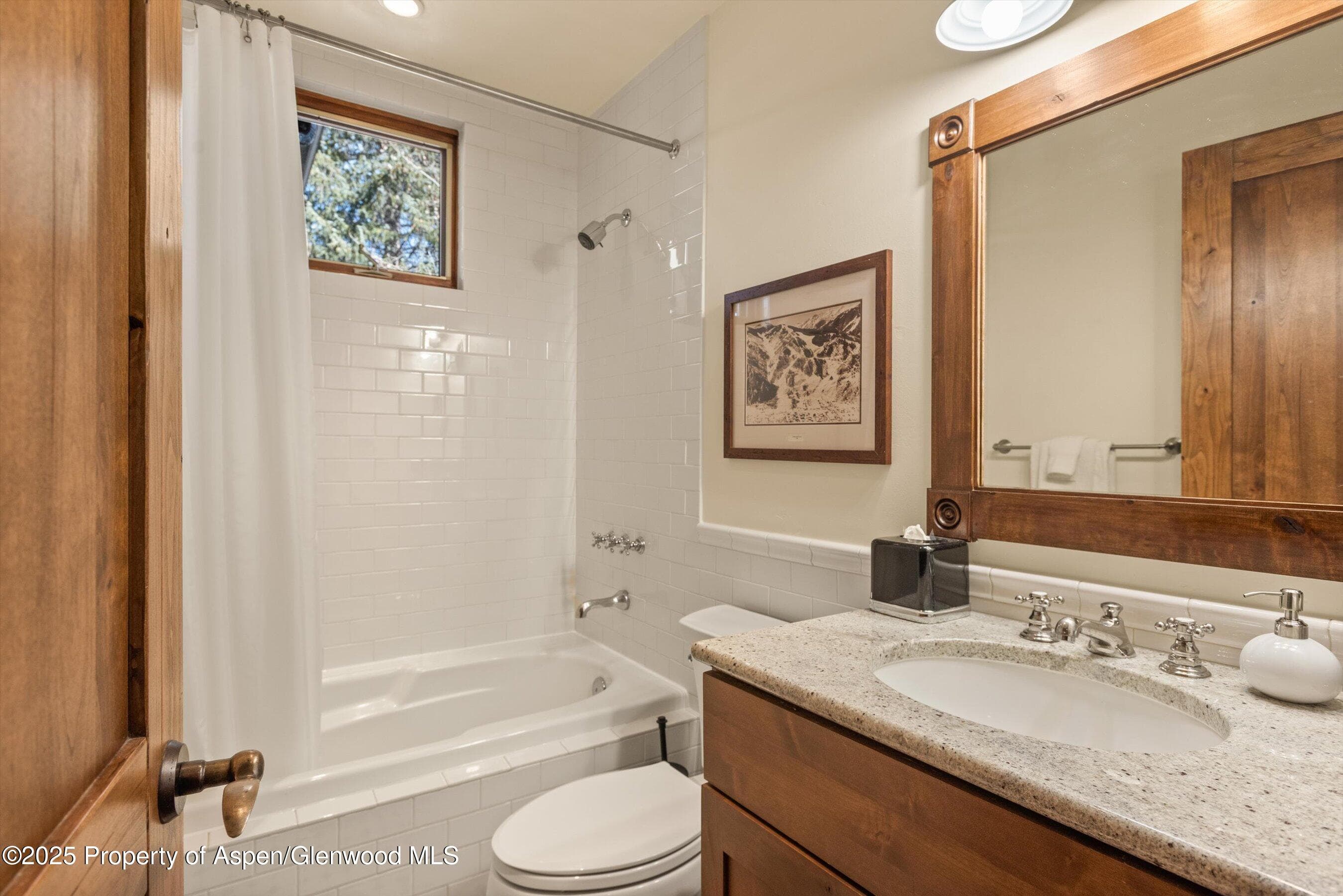 503 W Main Street B202, Aspen, CO 81611 - Photo 14