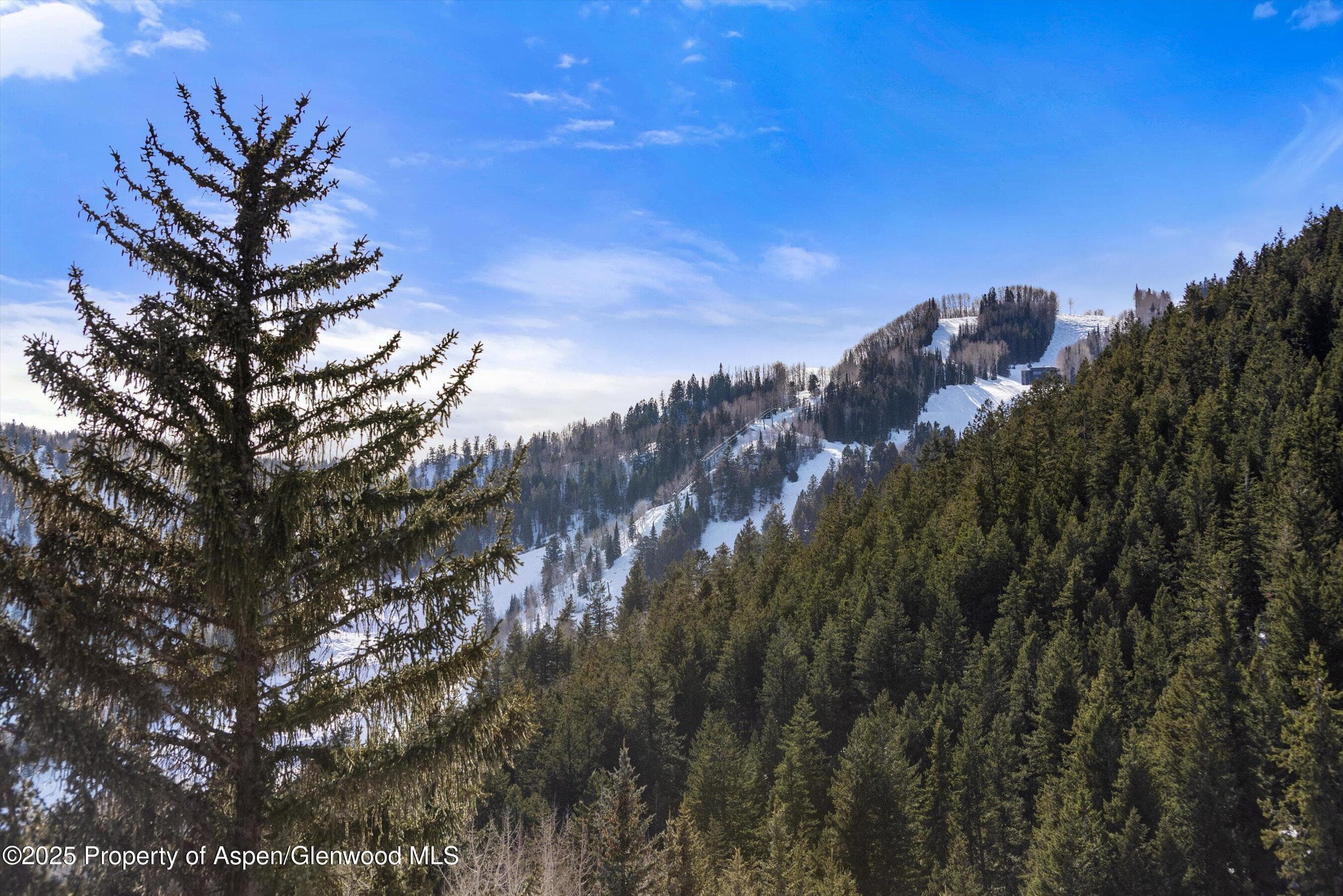 503 W Main Street B202, Aspen, CO 81611 - Photo 22