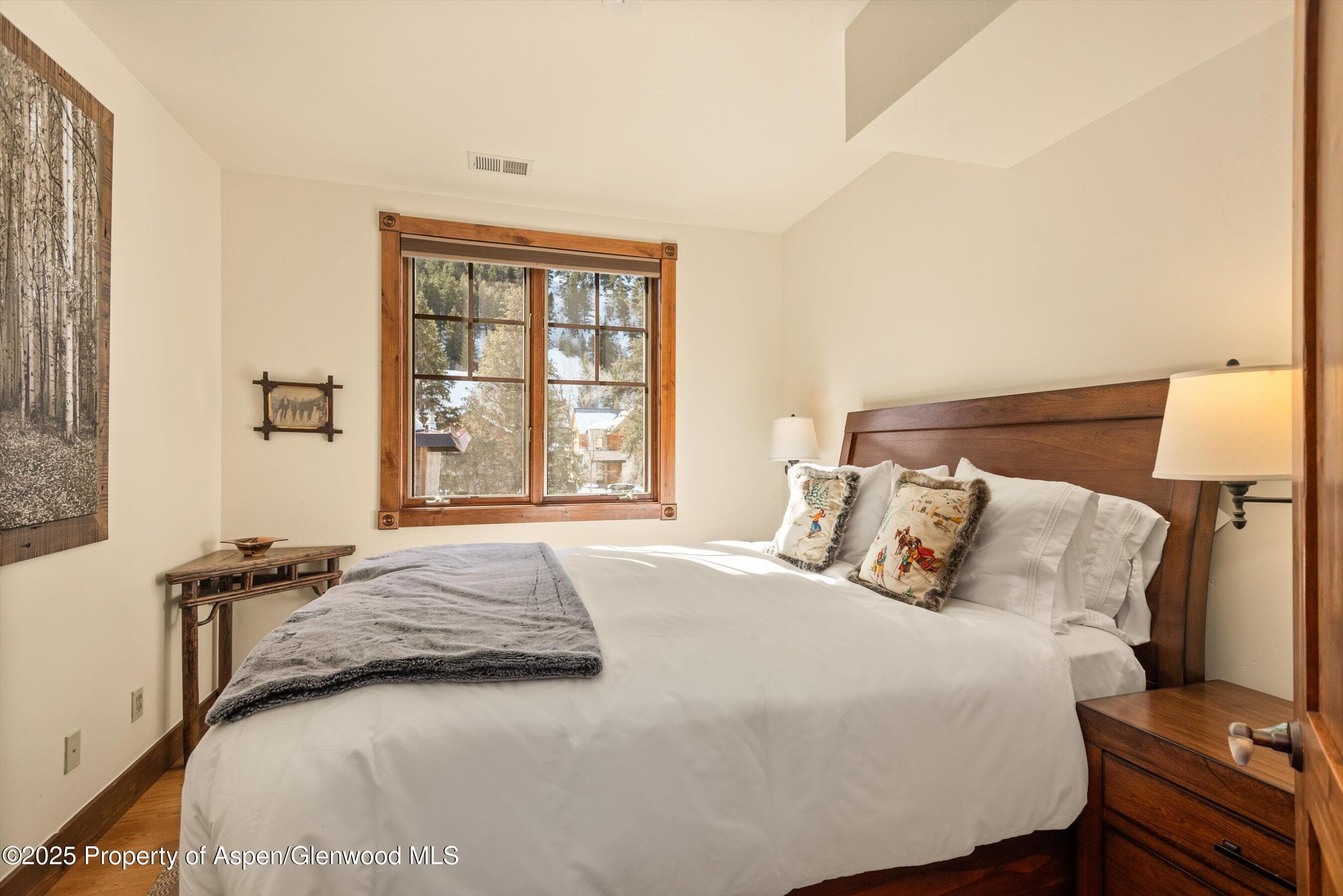 503 W Main Street B202, Aspen, CO 81611 - Photo 19
