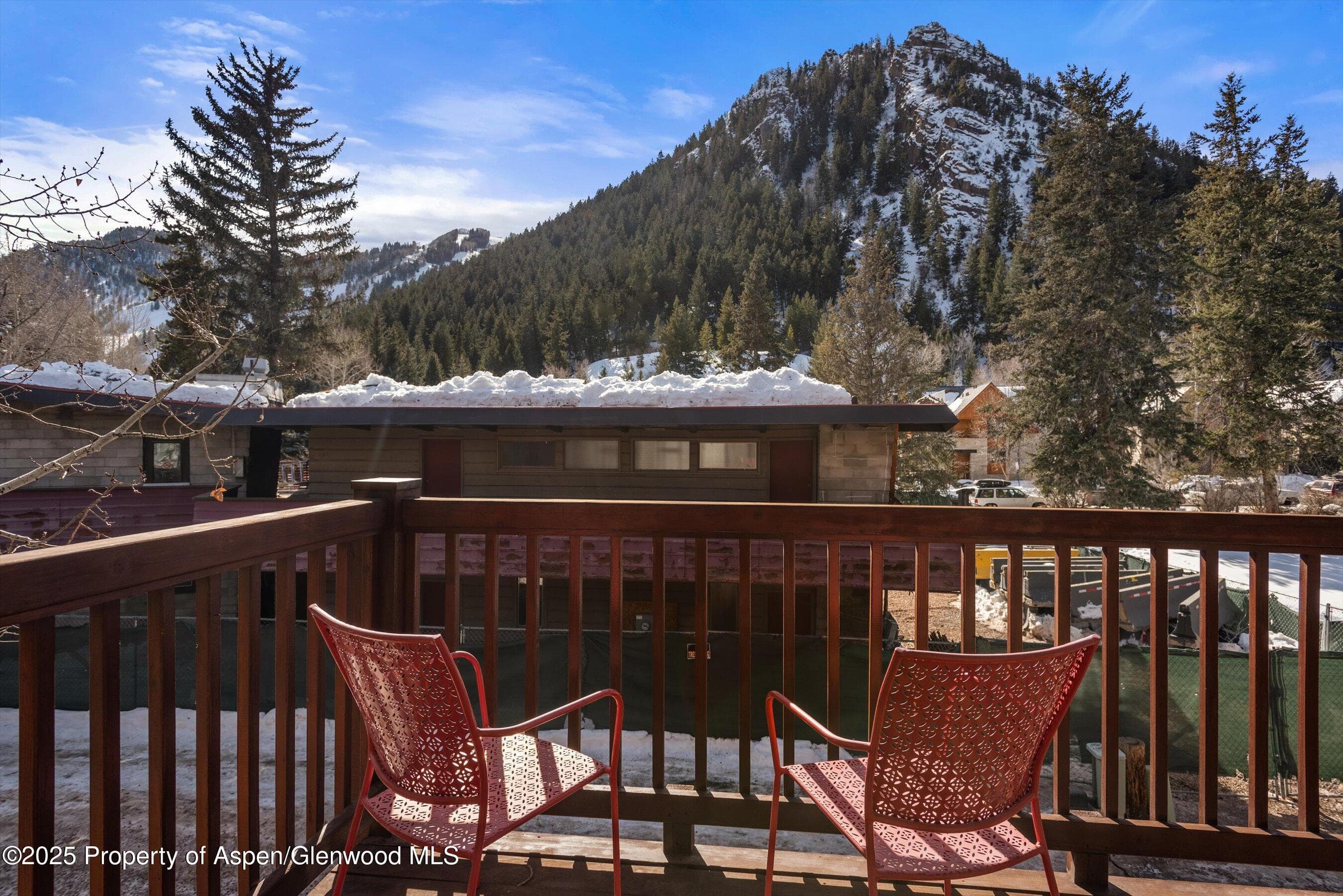 503 W Main Street B202, Aspen, CO 81611 - Photo 17