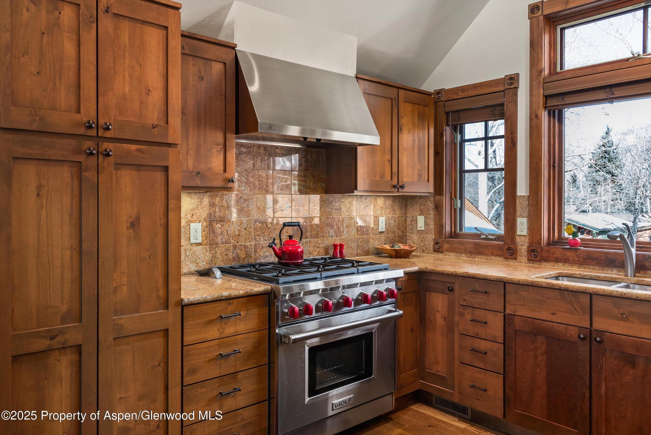 503 W Main Street B202, Aspen, CO 81611 - Photo 9