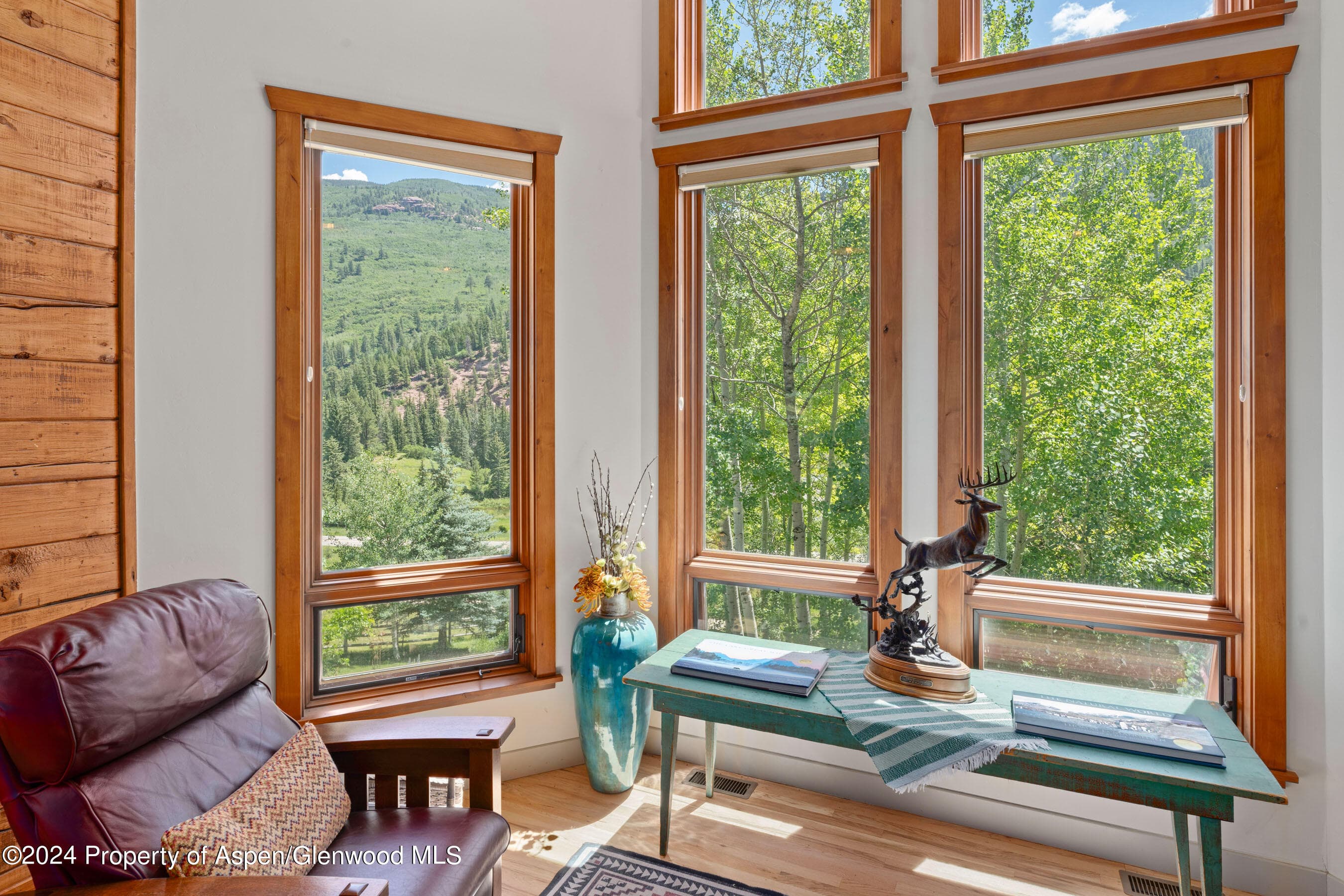 389 Elk Mountain Drive, Redstone, CO 81623 - Photo 40