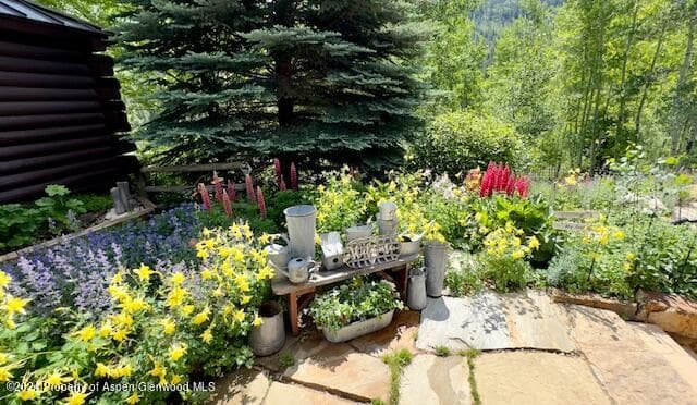 389 Elk Mountain Drive, Redstone, CO 81623 - Photo 62
