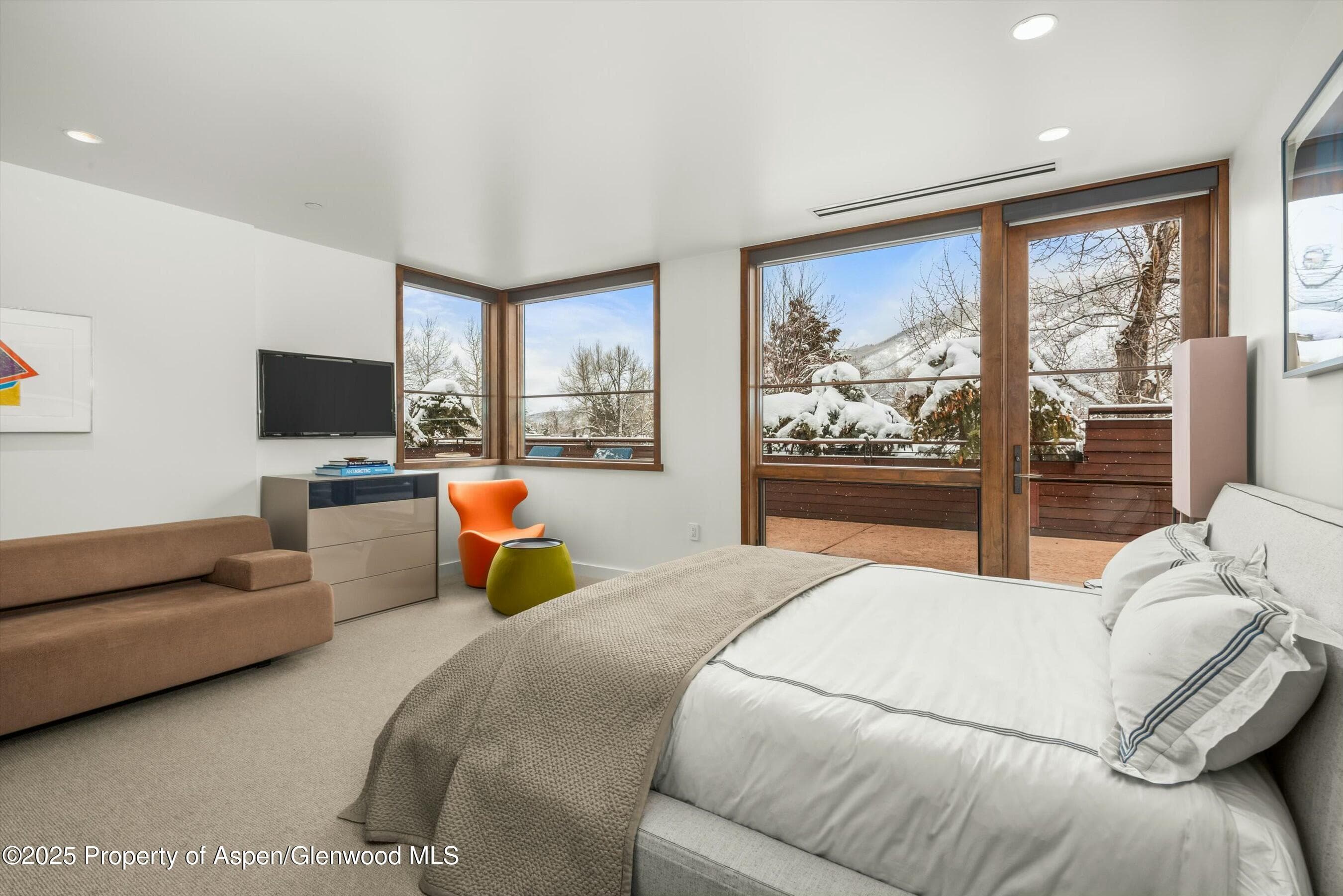 233 E Cooper Avenue 301, Aspen, CO 81611 - Photo 22