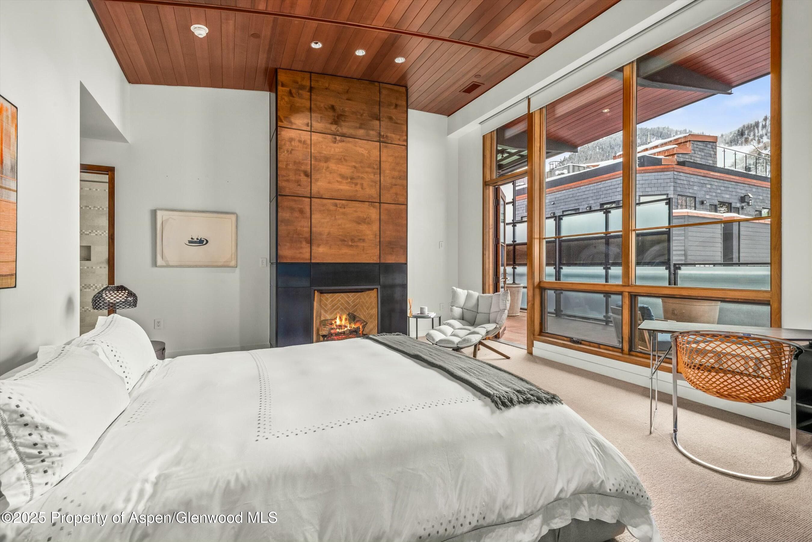 233 E Cooper Avenue 301, Aspen, CO 81611 - Photo 12