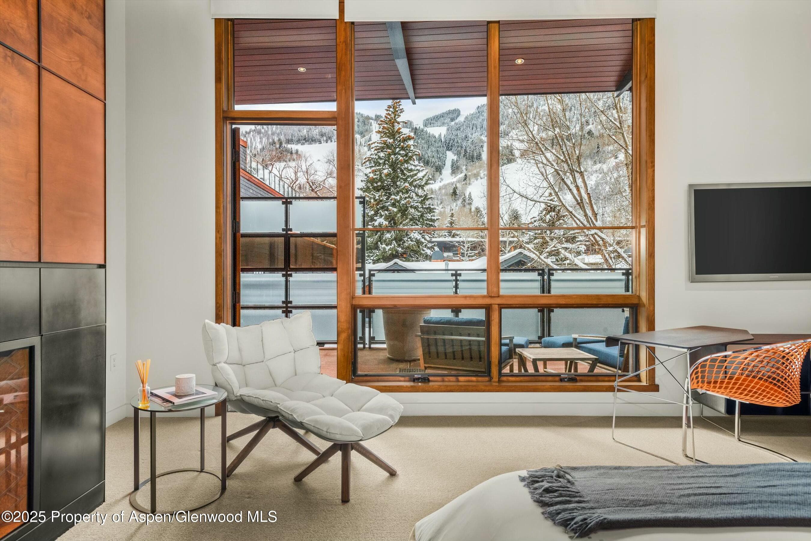 233 E Cooper Avenue 301, Aspen, CO 81611 - Photo 13
