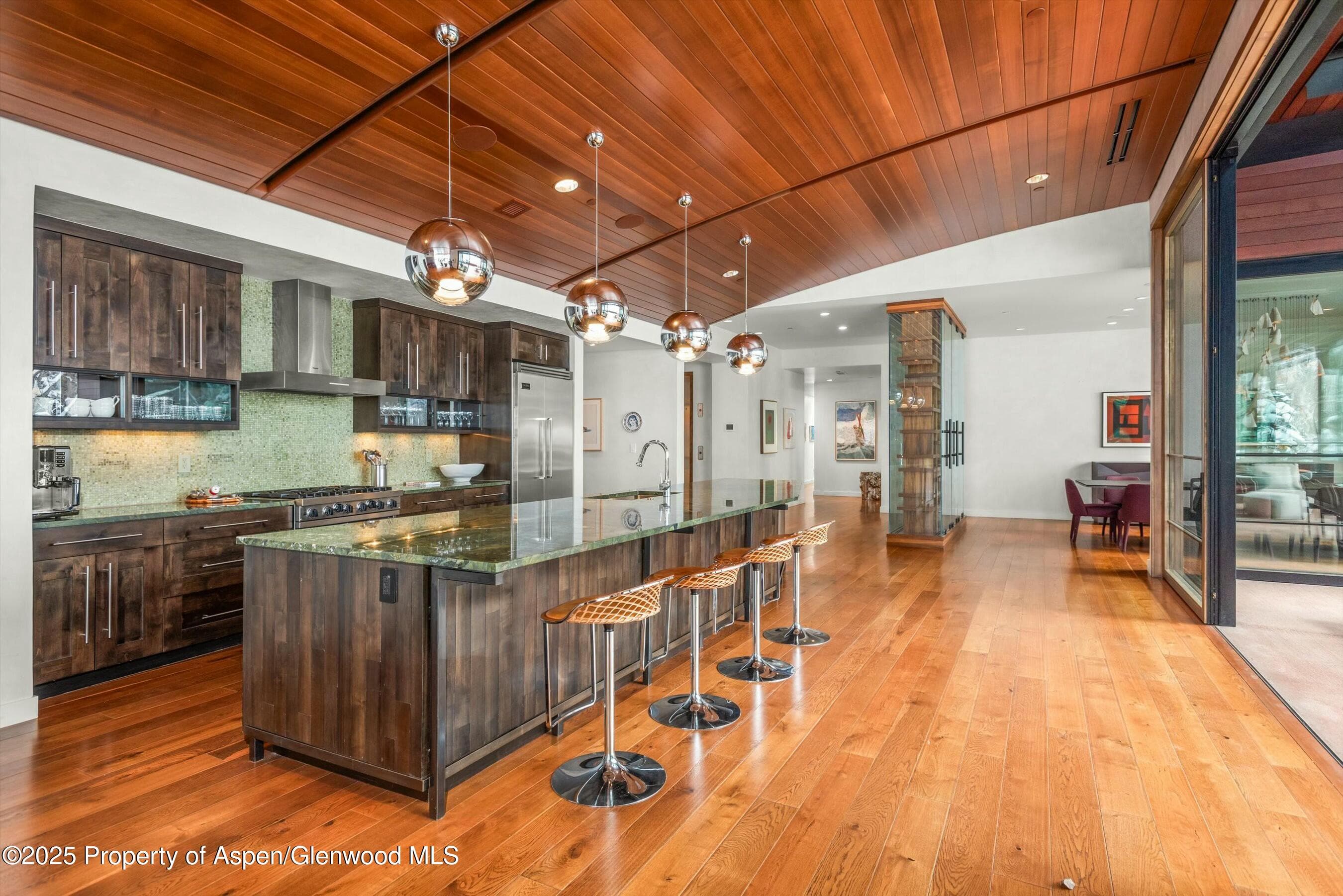 233 E Cooper Avenue 301, Aspen, CO 81611 - Photo 6