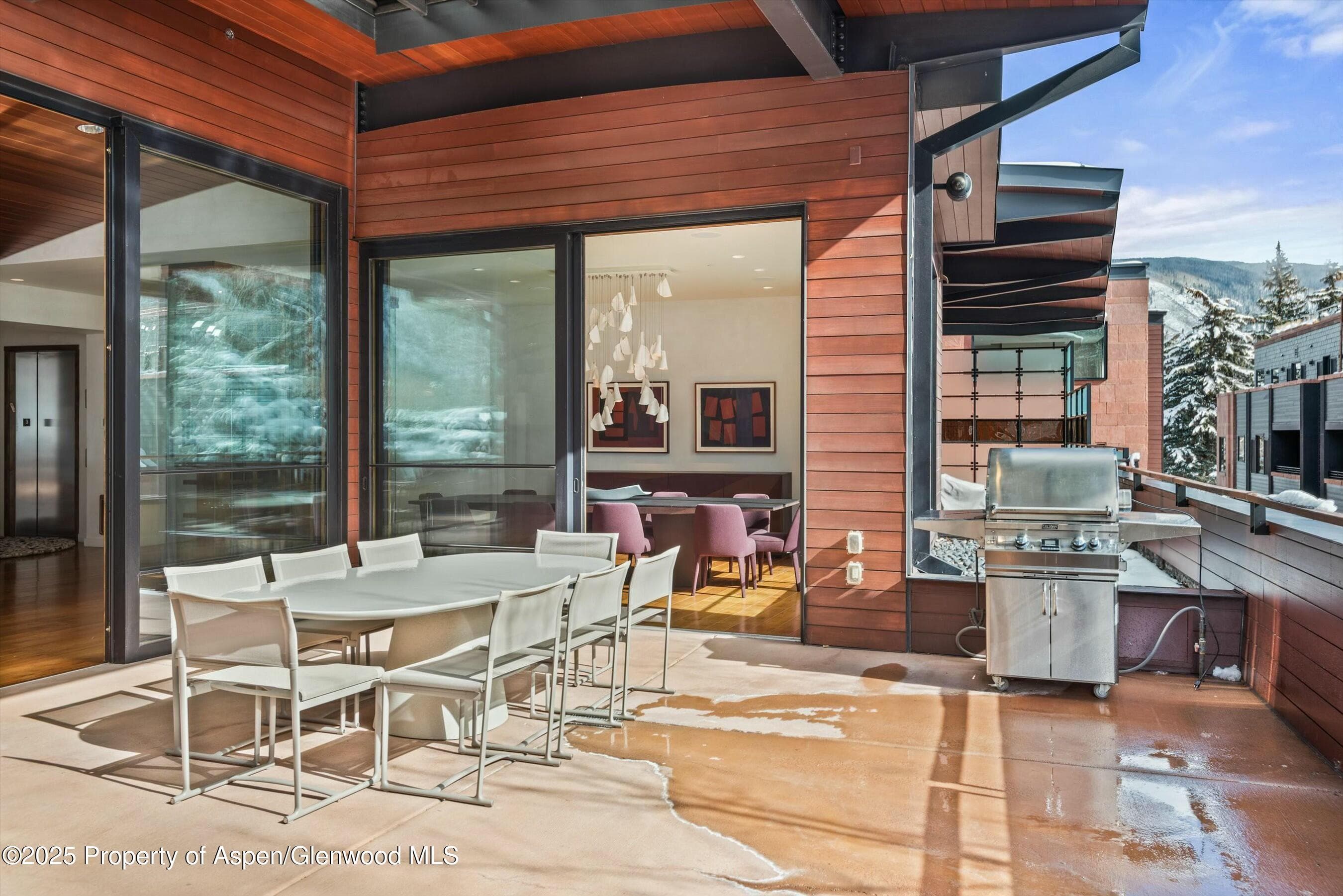 233 E Cooper Avenue 301, Aspen, CO 81611 - Photo 25