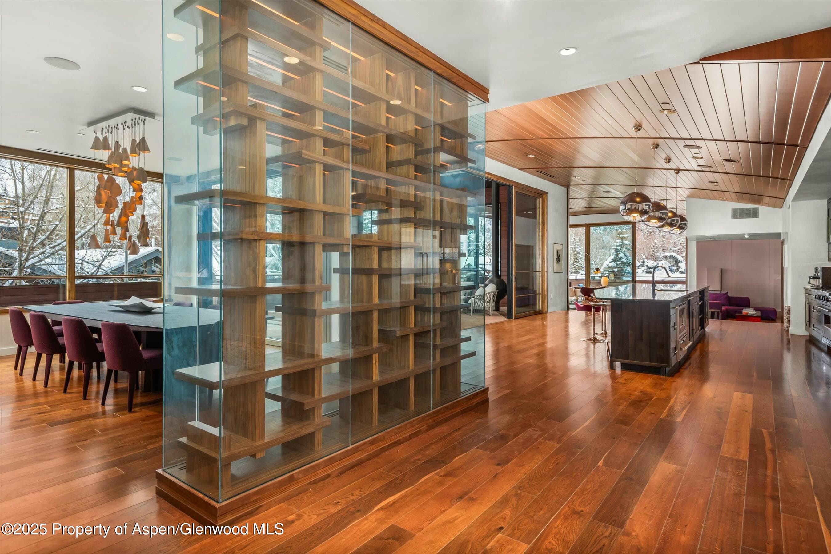 233 E Cooper Avenue 301, Aspen, CO 81611 - Photo 4