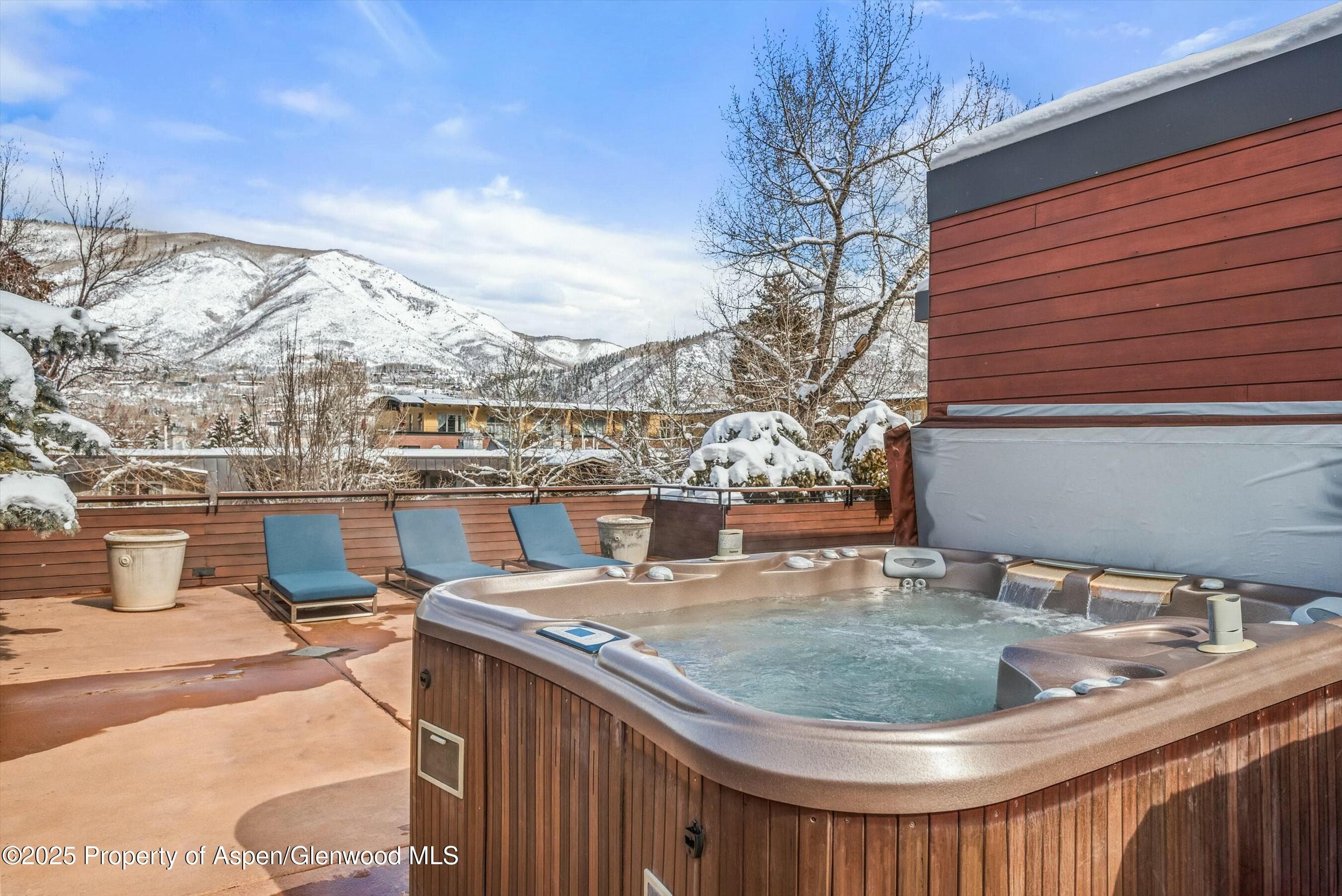 233 E Cooper Avenue 301, Aspen, CO 81611 - Photo 27