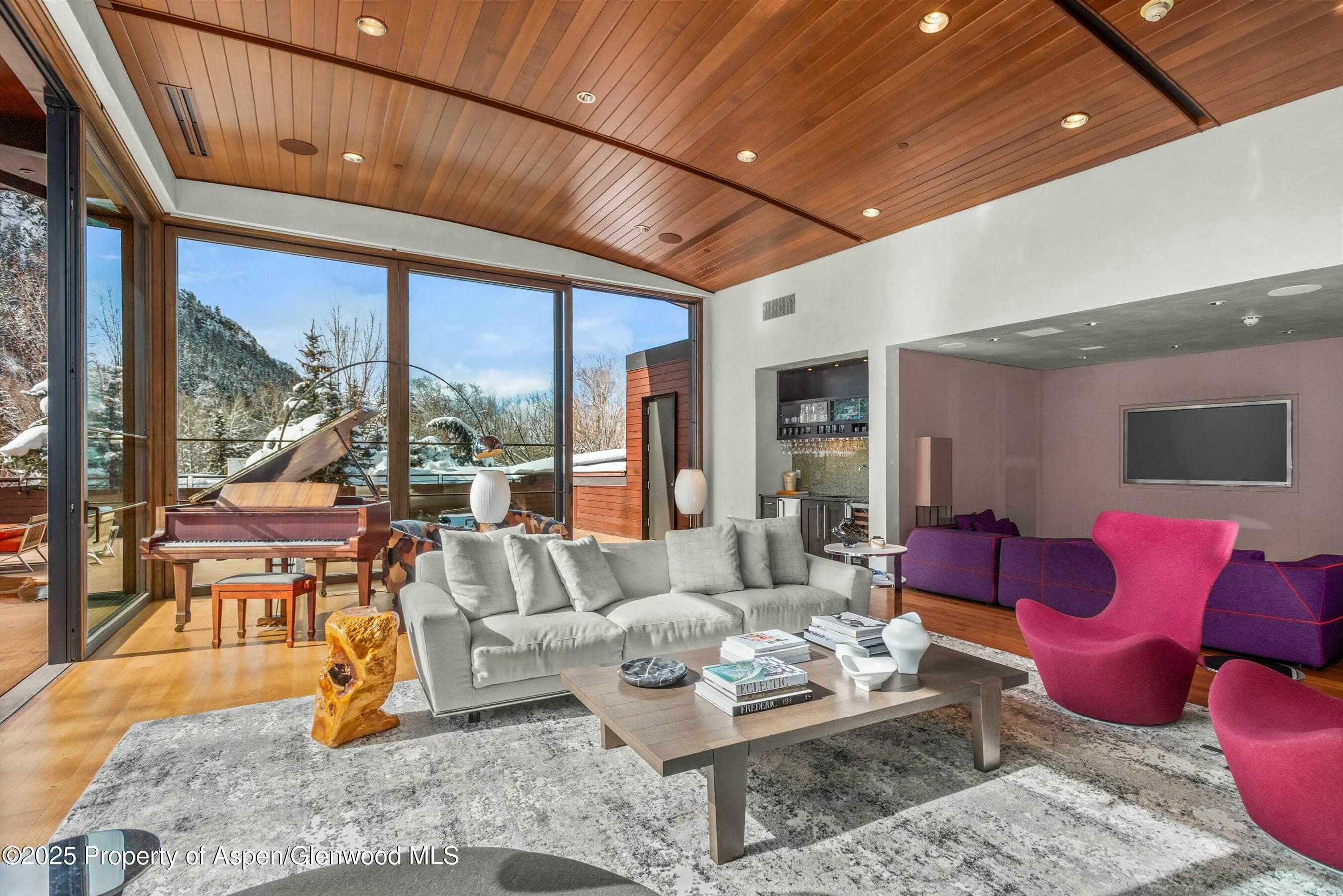 233 E Cooper Avenue 301, Aspen, CO 81611 - Photo 11