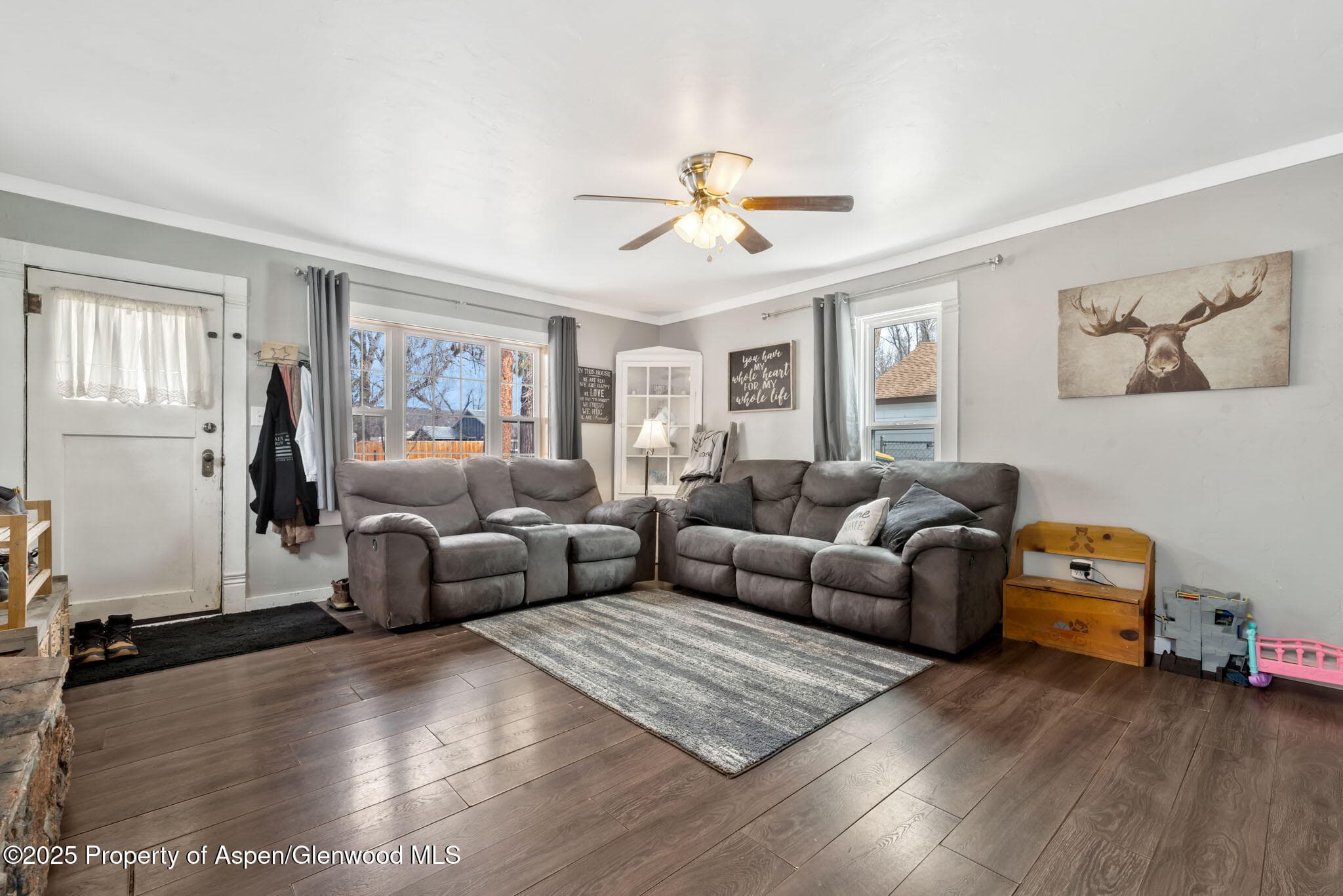 609 E JEFFERSON Avenue, Hayden, CO 81639 - Photo 4