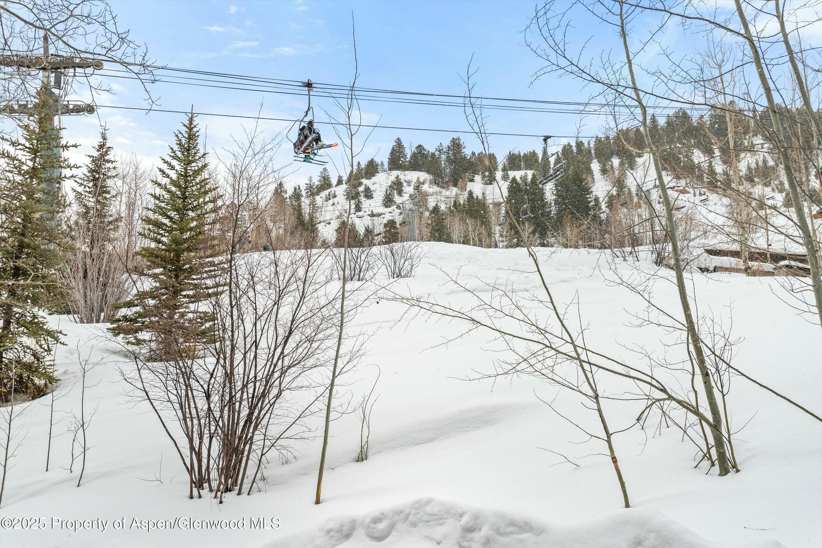 99 Steeplechase Drive, Aspen, CO 81611 - Photo 52