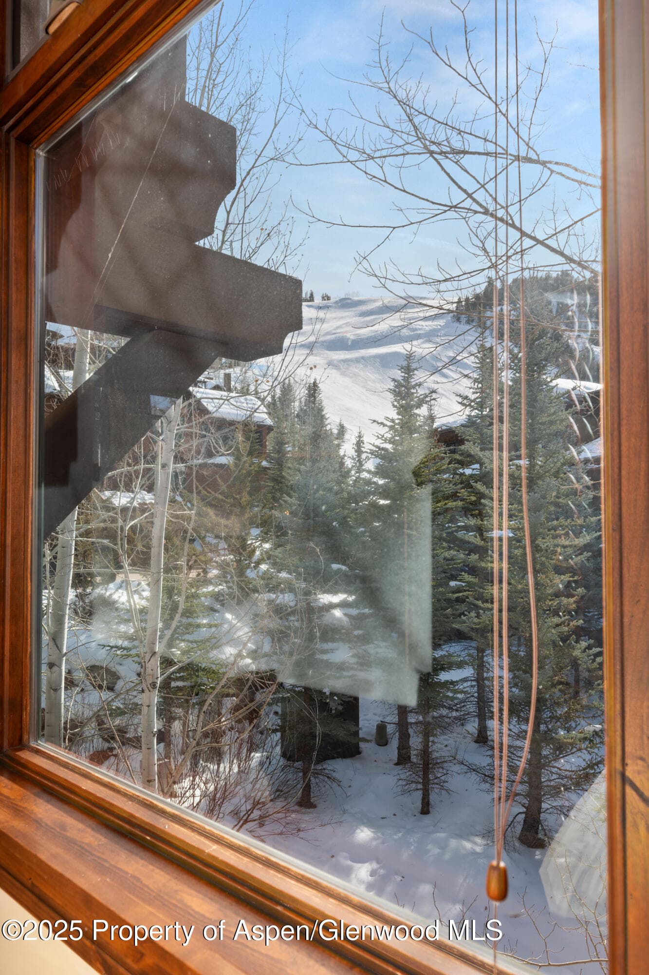 81 Thunderbowl Lane, Aspen, CO 81611 - Photo 49