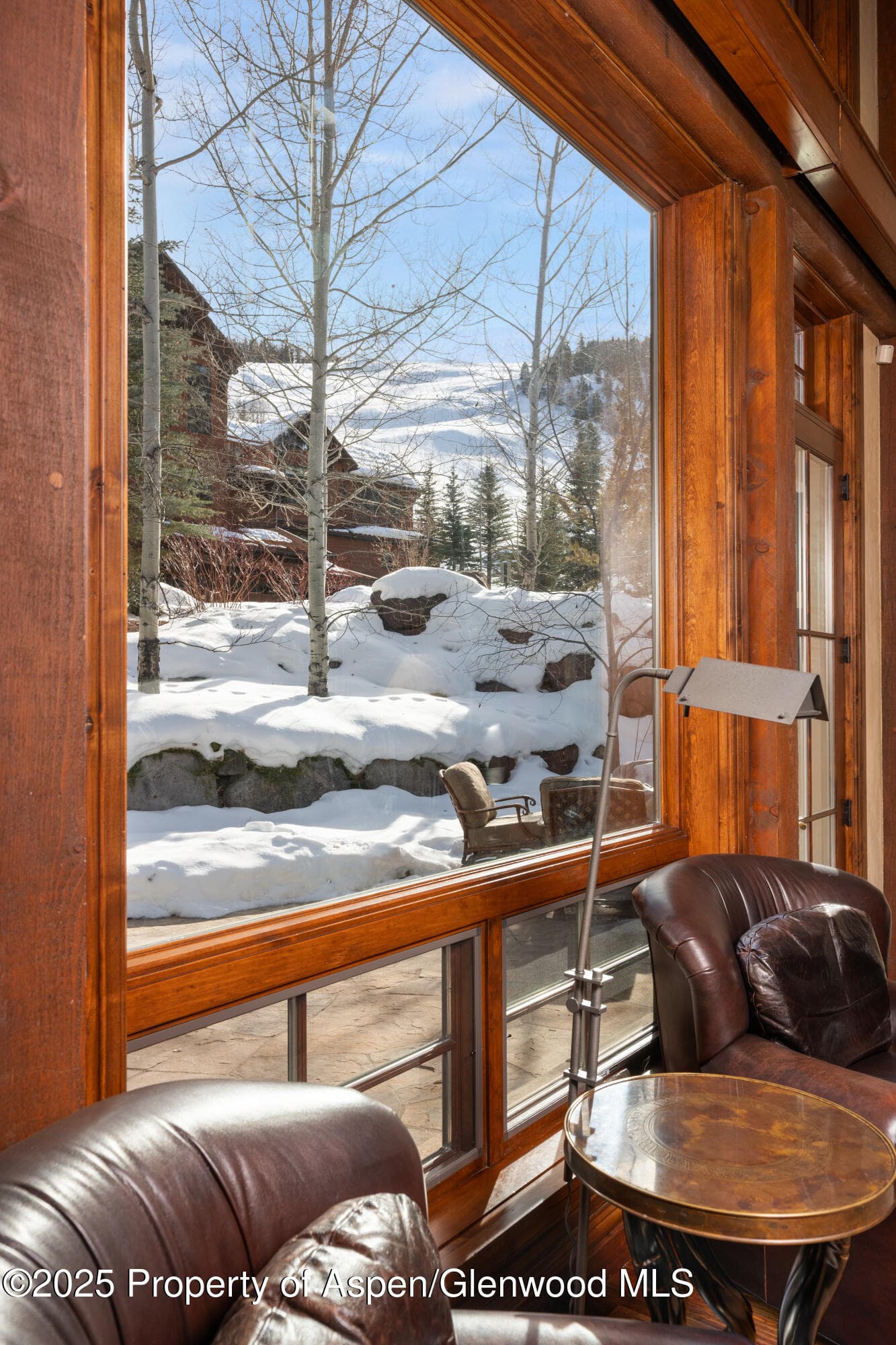 81 Thunderbowl Lane, Aspen, CO 81611 - Photo 51