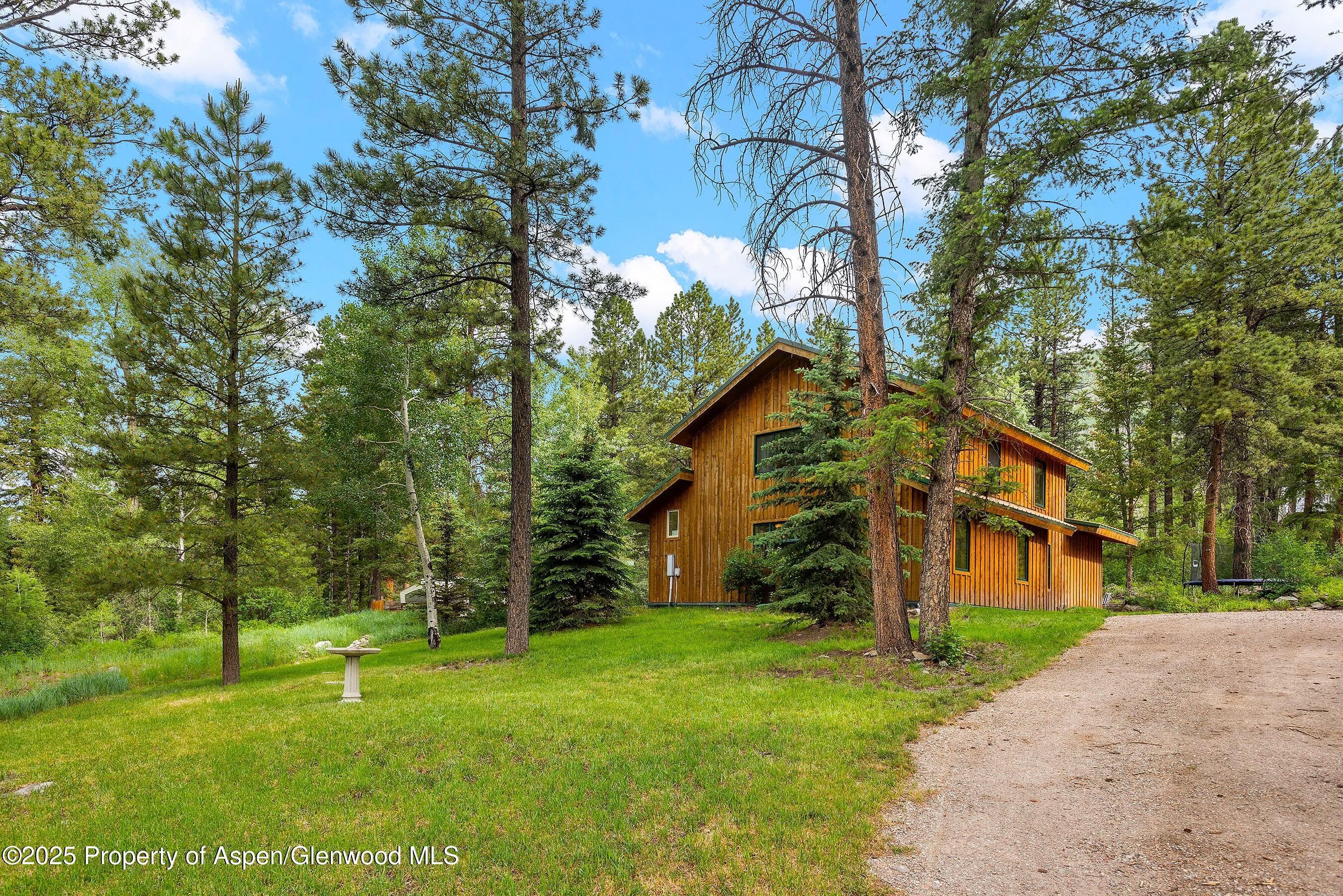 711 W Park Street, Marble, CO 81623 - Photo 4