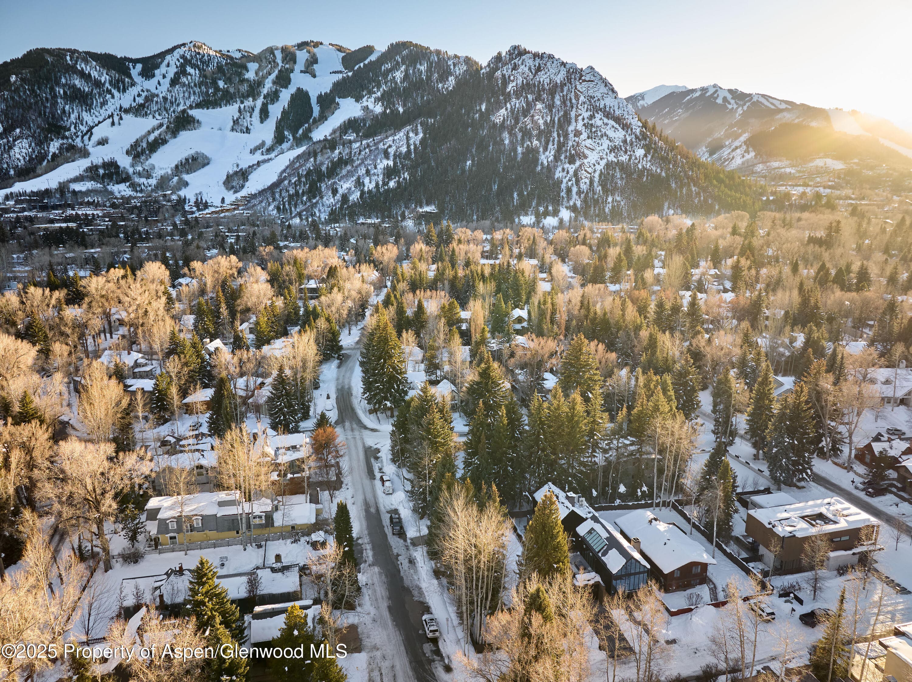 411 Pearl Court, Aspen, CO 81611 - Photo 41