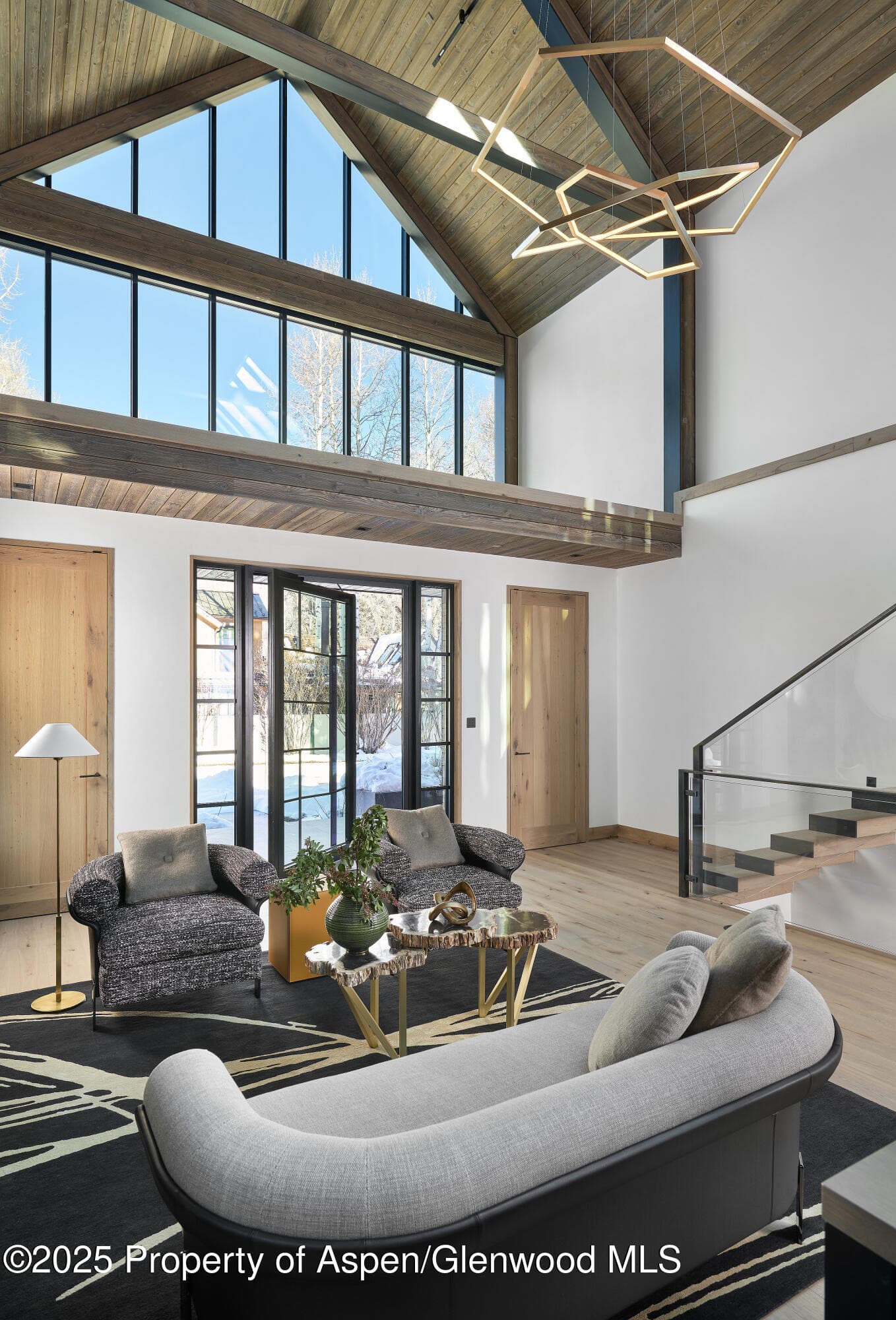 411 Pearl Court, Aspen, CO 81611 - Photo 5