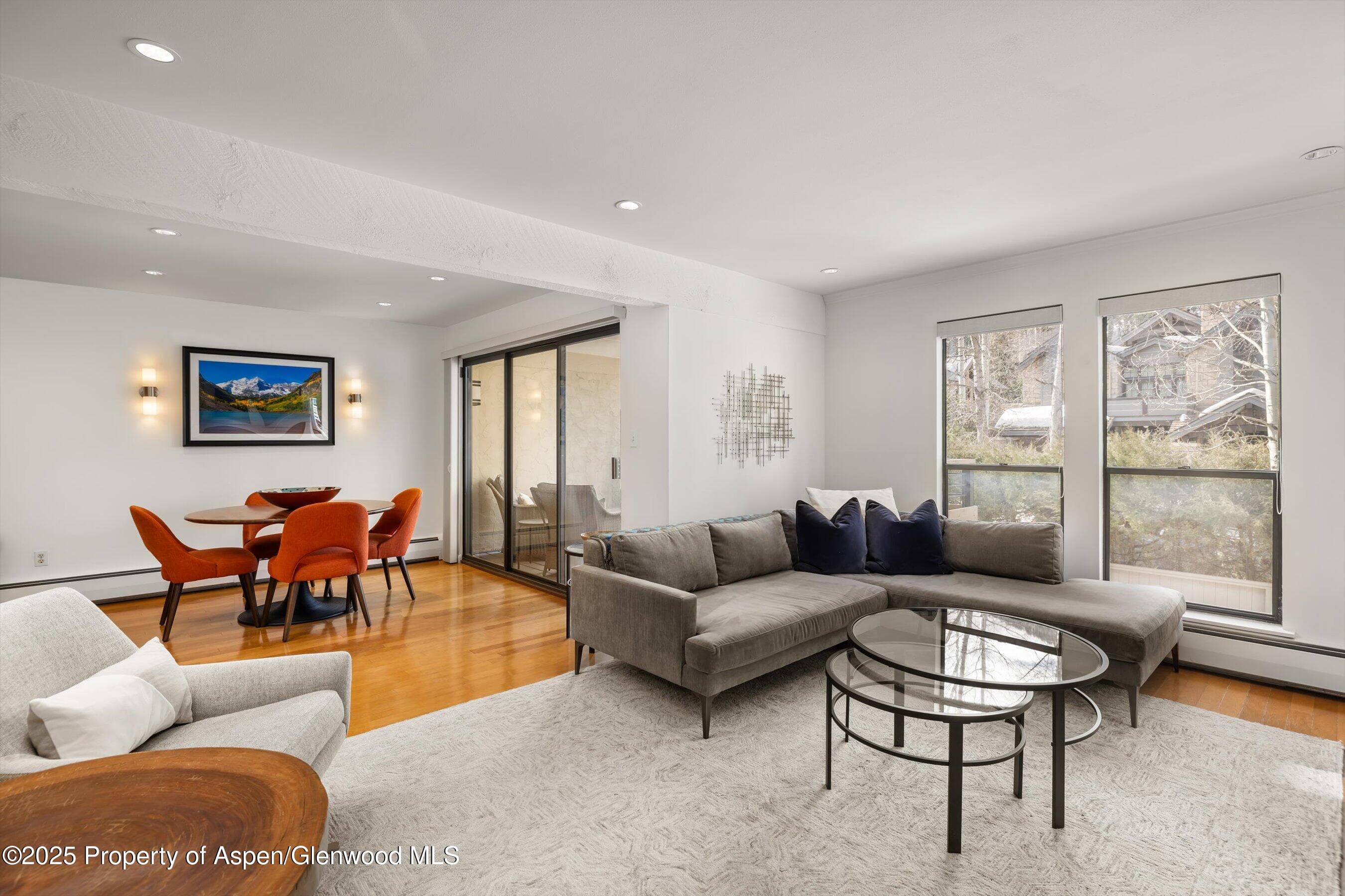 980 E HYMAN Avenue 3, Aspen, CO 81611 - Photo 4