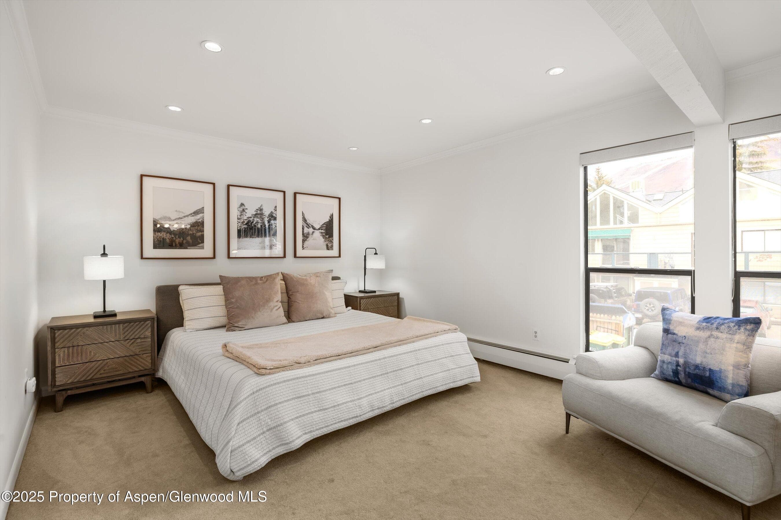 980 E HYMAN Avenue 3, Aspen, CO 81611 - Photo 9