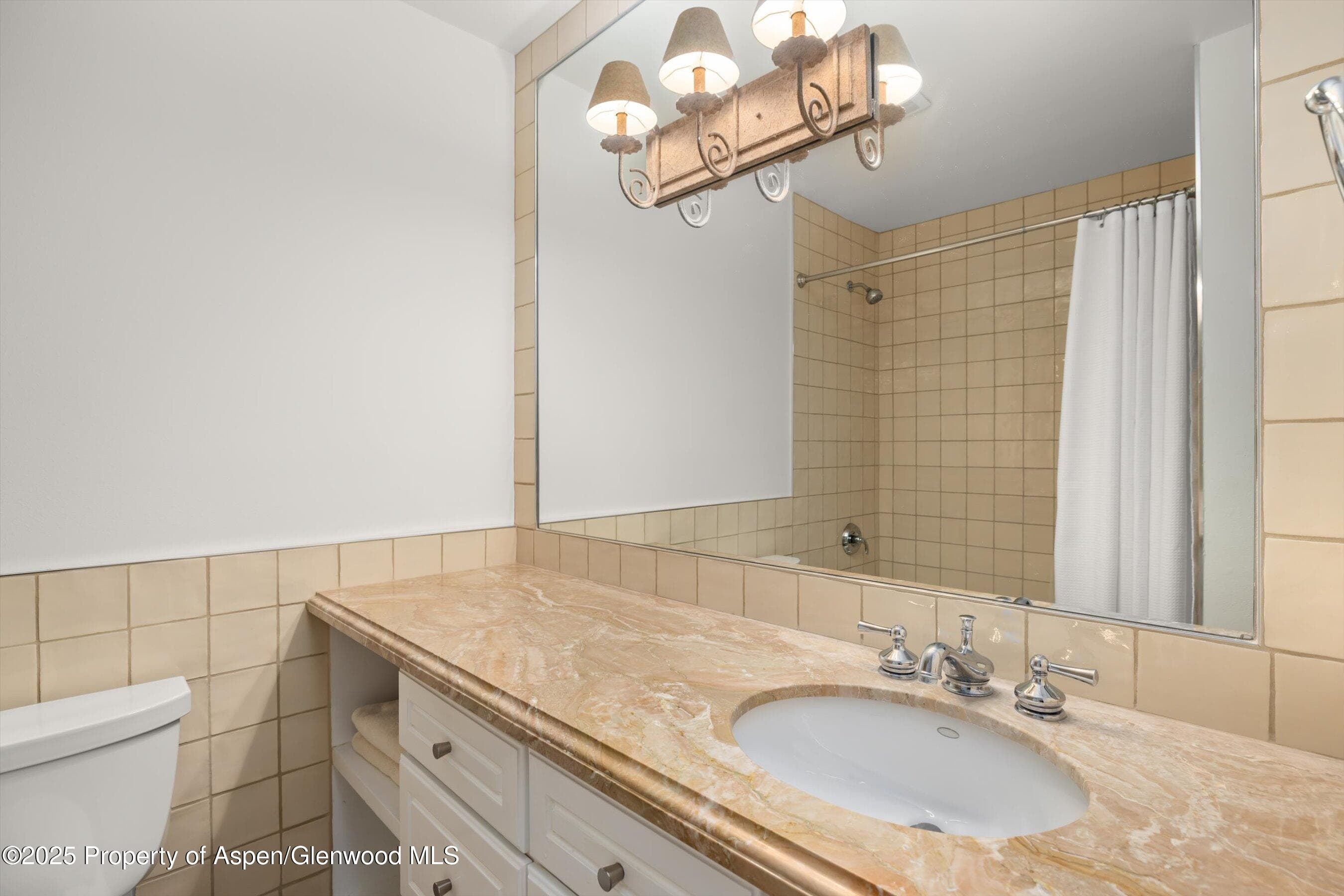 980 E HYMAN Avenue 3, Aspen, CO 81611 - Photo 15