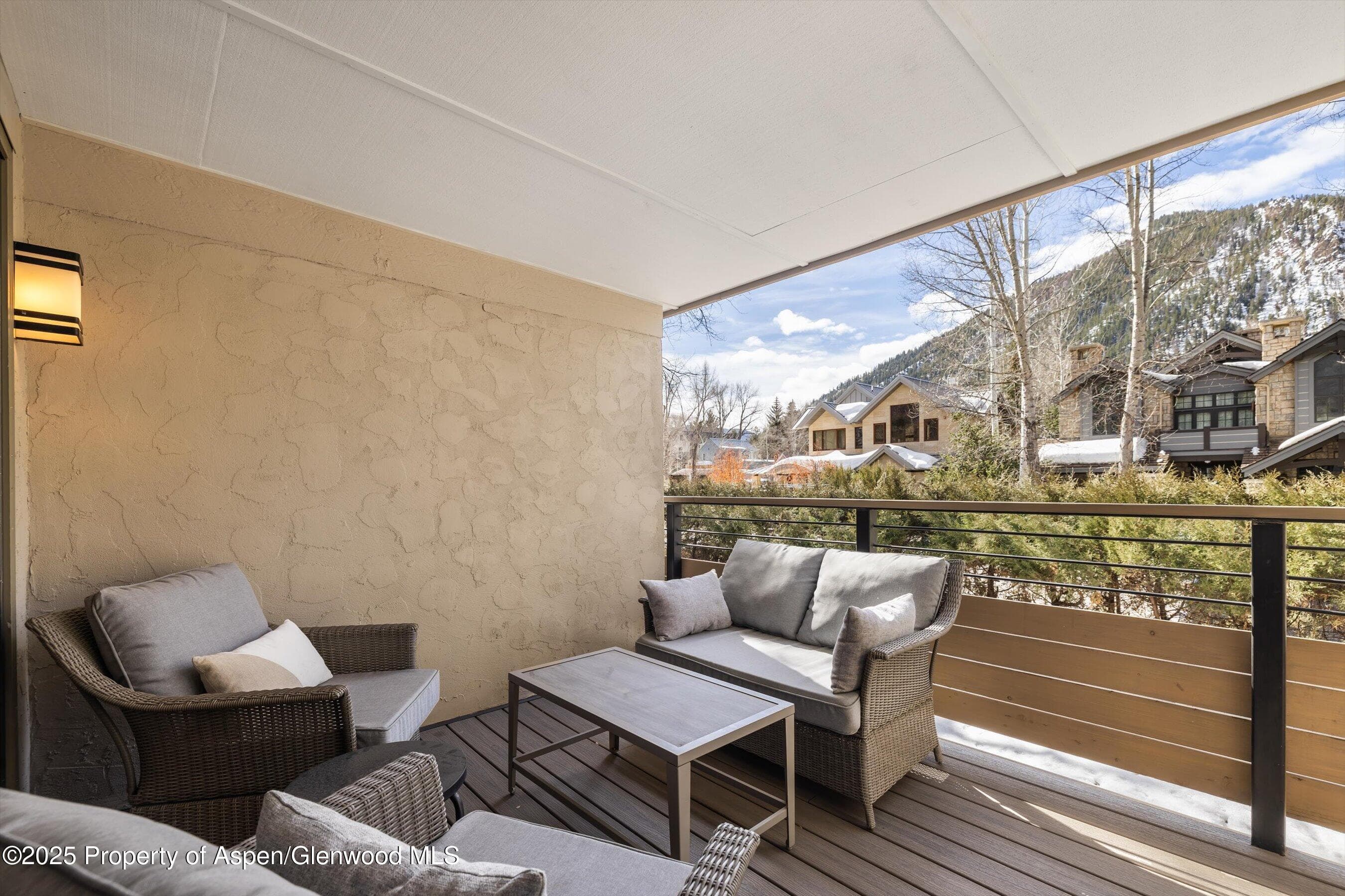 980 E HYMAN Avenue 3, Aspen, CO 81611 - Photo 16