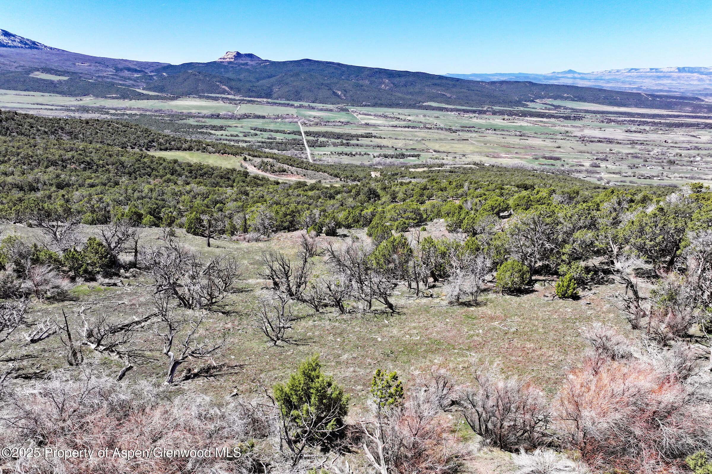 TBD TBD, Mesa, CO 81643 - Photo 6